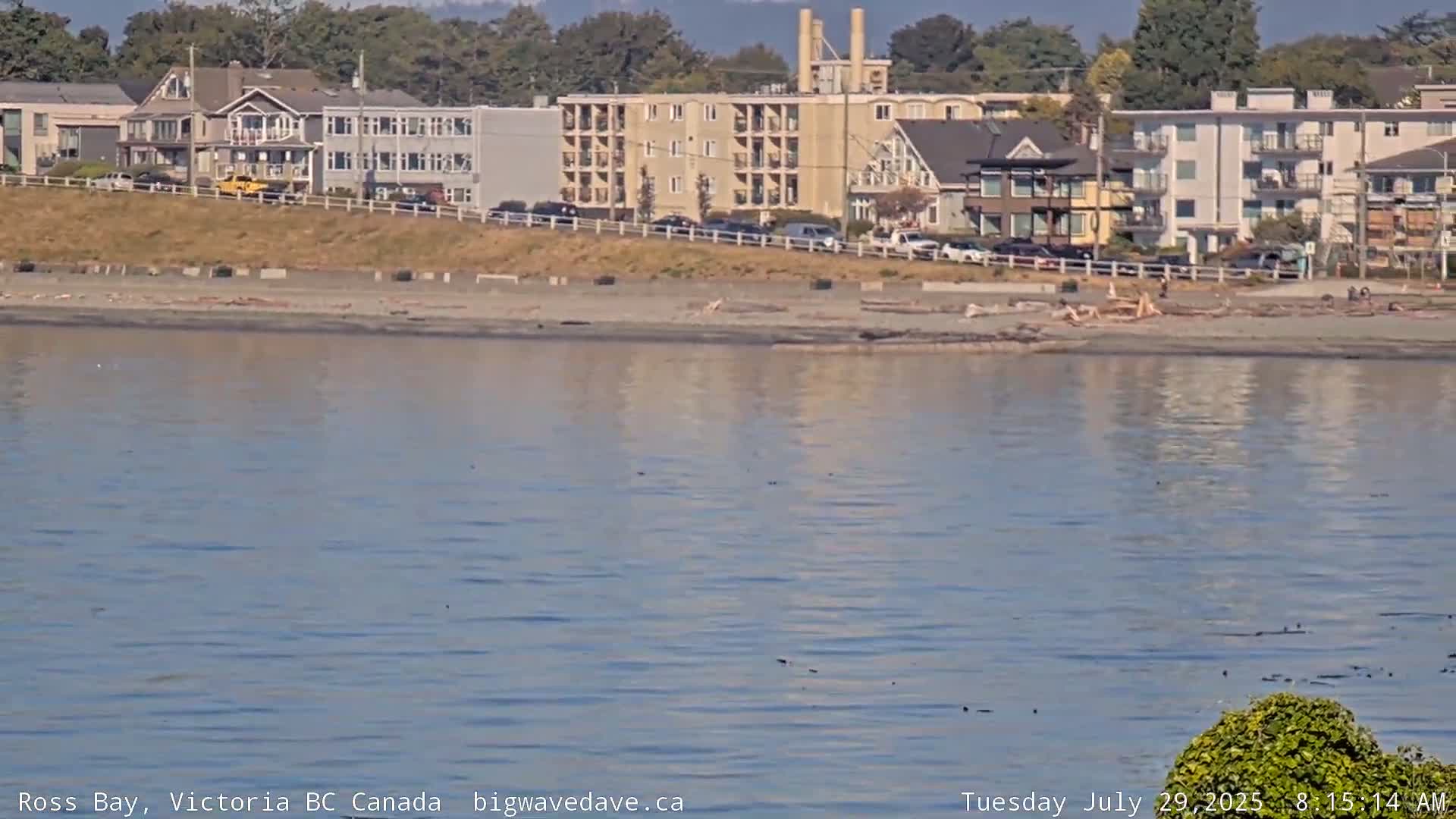 Fairfield District & Ross Bay Pasific & Trail Island Live Cam - Fairfield,  Victoria, Capital Regional District, British Columbia, Canada