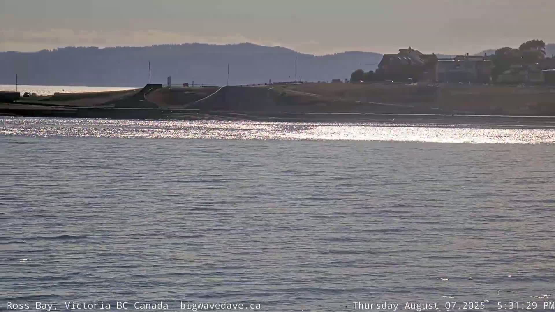 Fairfield District & Ross Bay Pasific & Trail Island Live Cam - Fairfield,  Victoria, Capital Regional District, British Columbia, Canada