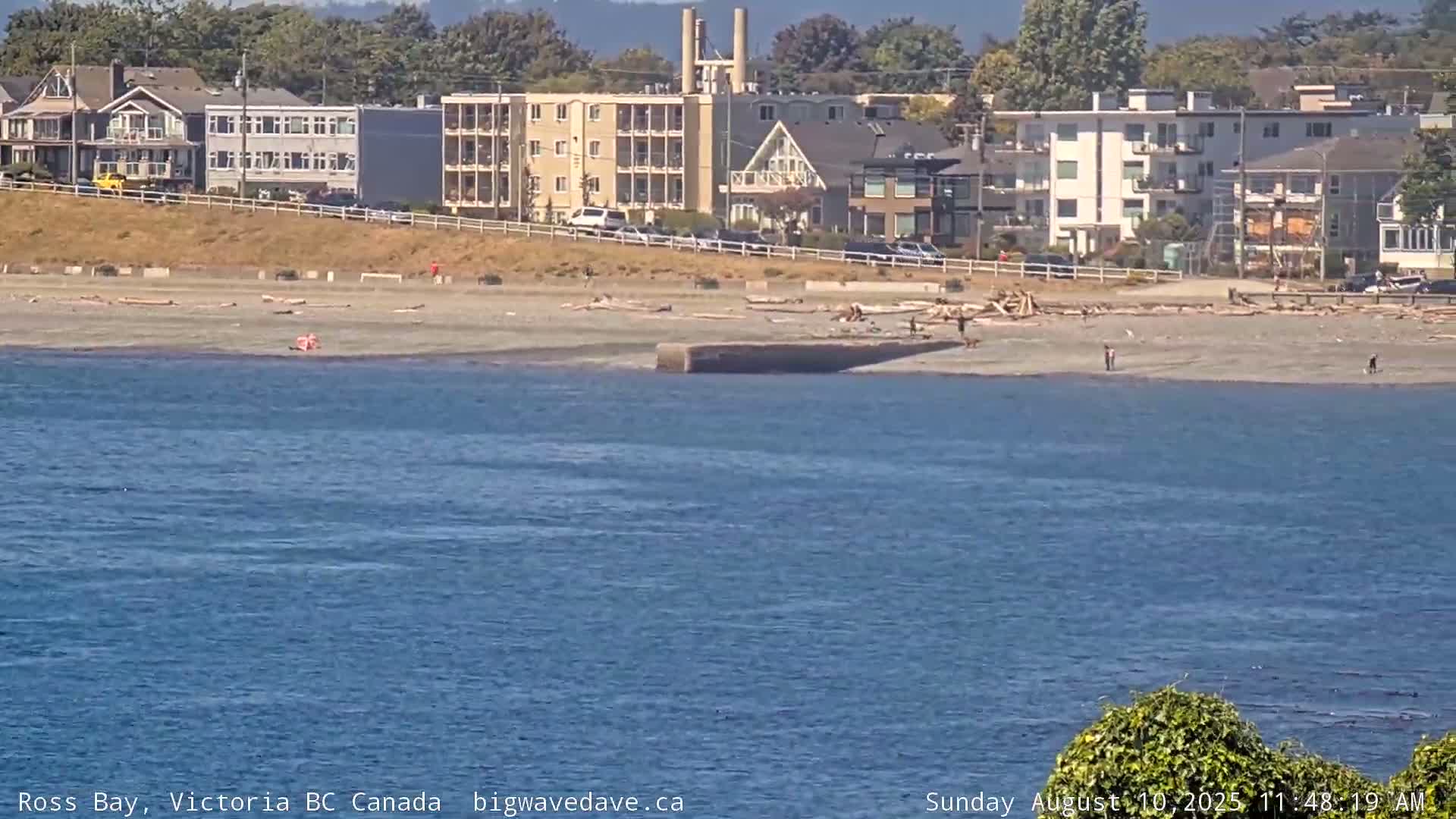 Fairfield District & Ross Bay Pasific & Trail Island Live Cam - Fairfield,  Victoria, Capital Regional District, British Columbia, Canada