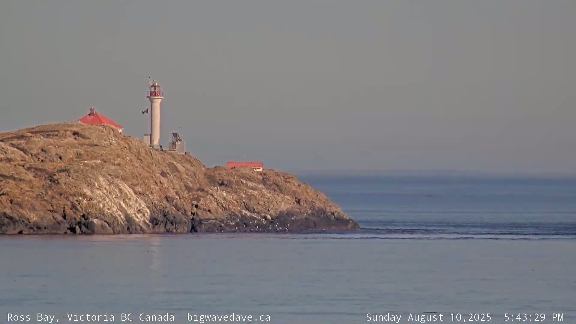 Fairfield District & Ross Bay Pasific & Trail Island Live Cam - Fairfield,  Victoria, Capital Regional District, British Columbia, Canada