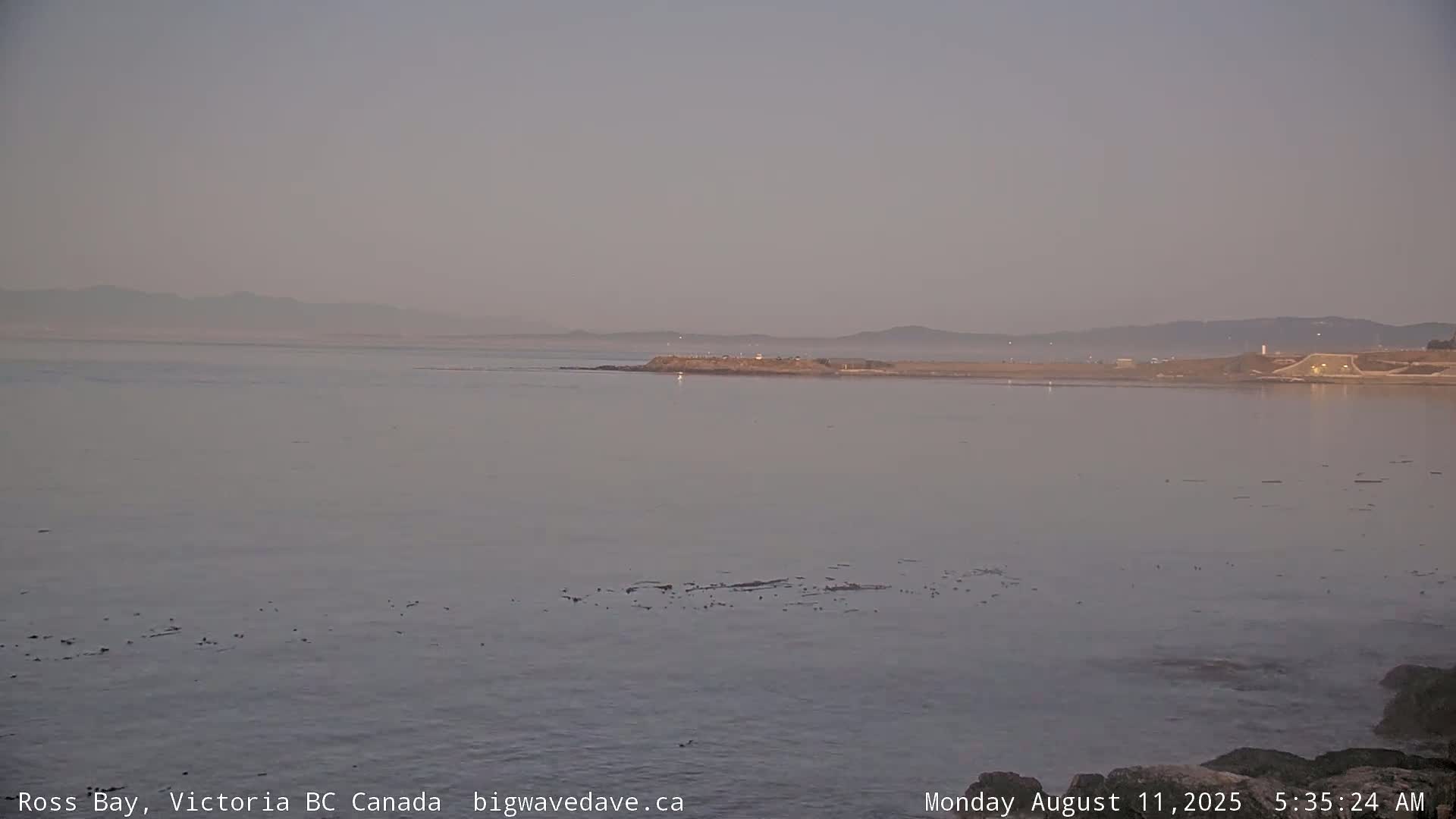 Fairfield District & Ross Bay Pasific & Trail Island Live Cam - Fairfield,  Victoria, Capital Regional District, British Columbia, Canada
