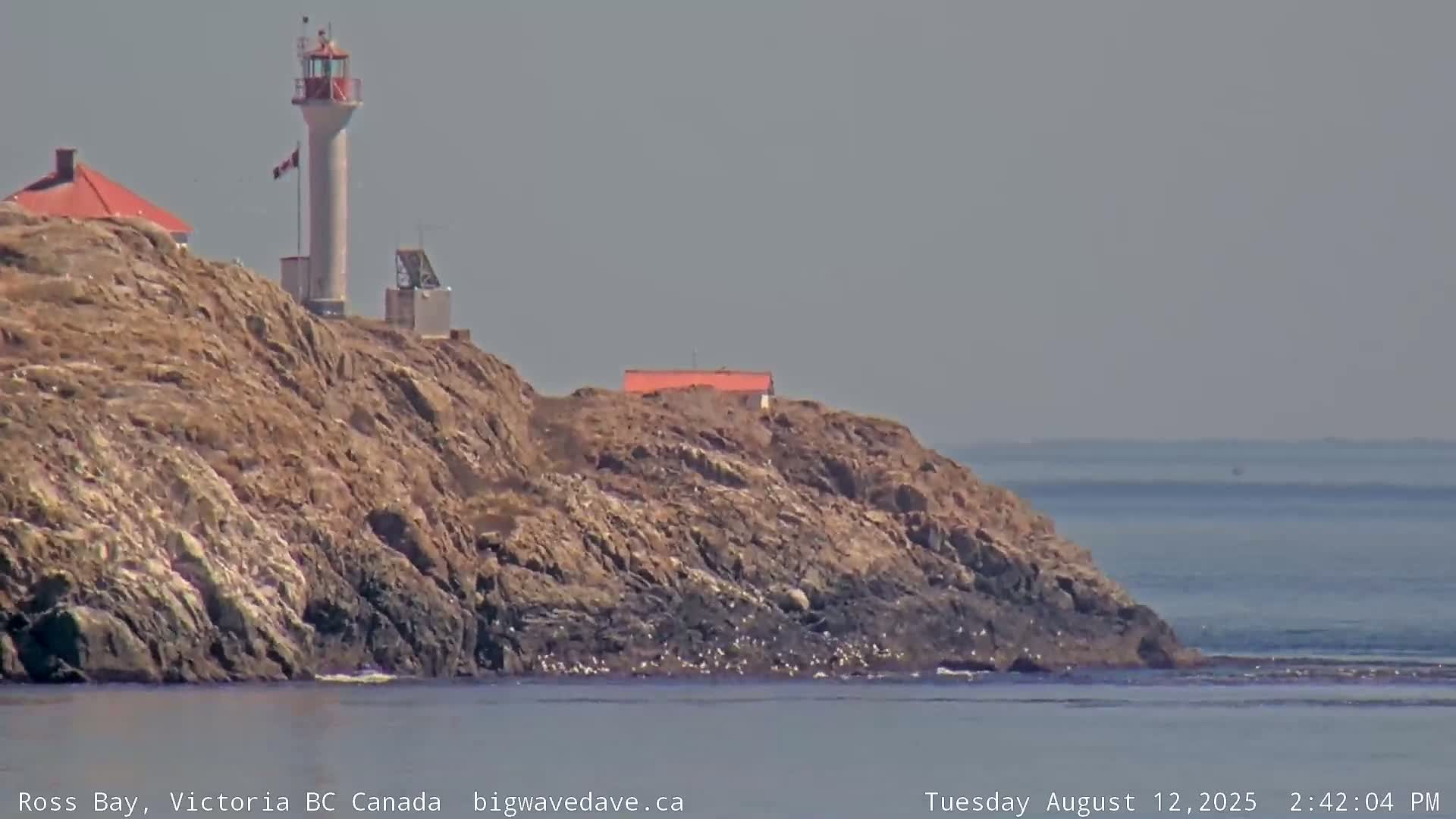 Fairfield District & Ross Bay Pasific & Trail Island Live Cam - Fairfield,  Victoria, Capital Regional District, British Columbia, Canada