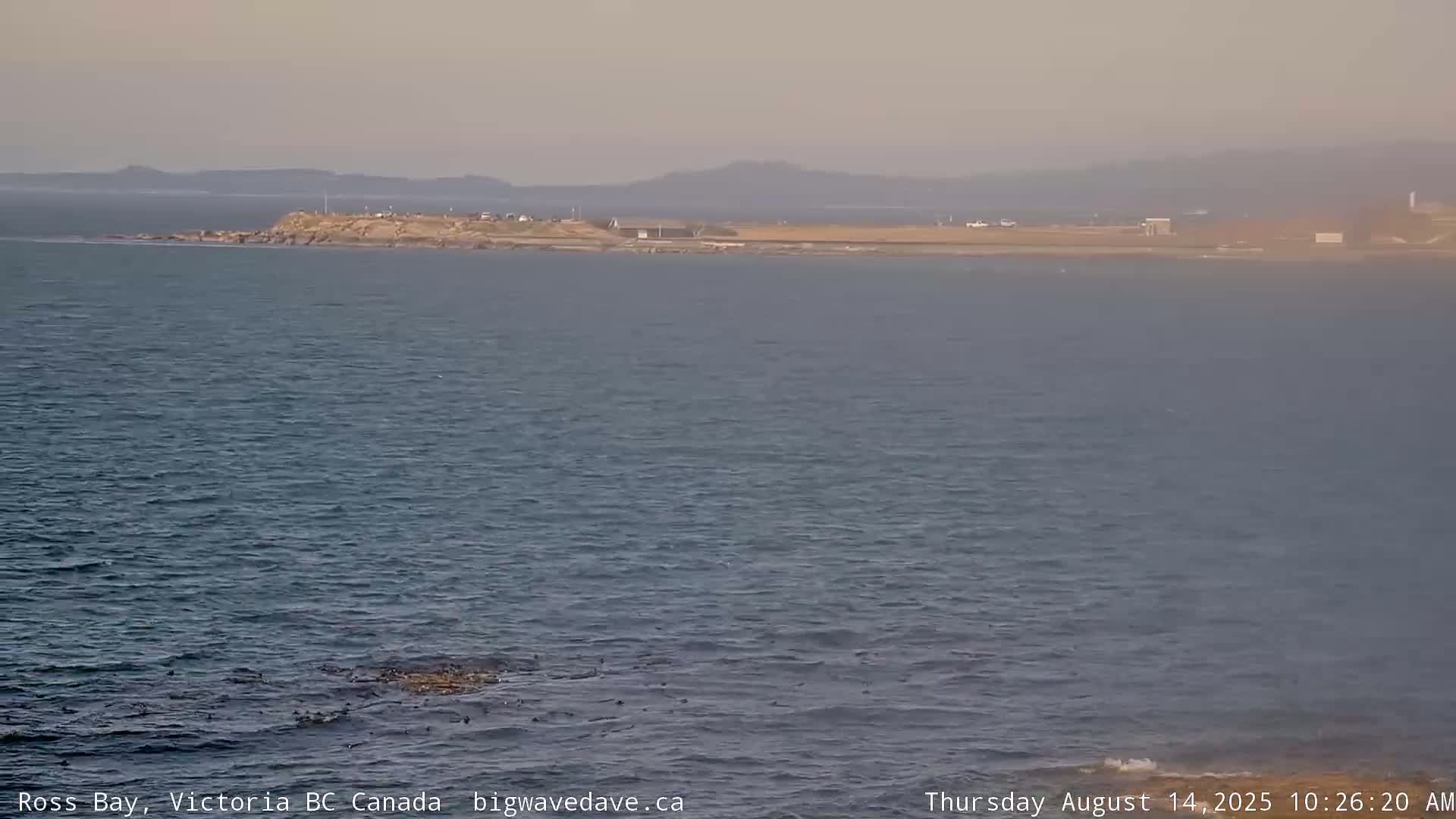 Fairfield District & Ross Bay Pasific & Trail Island Live Cam - Fairfield,  Victoria, Capital Regional District, British Columbia, Canada