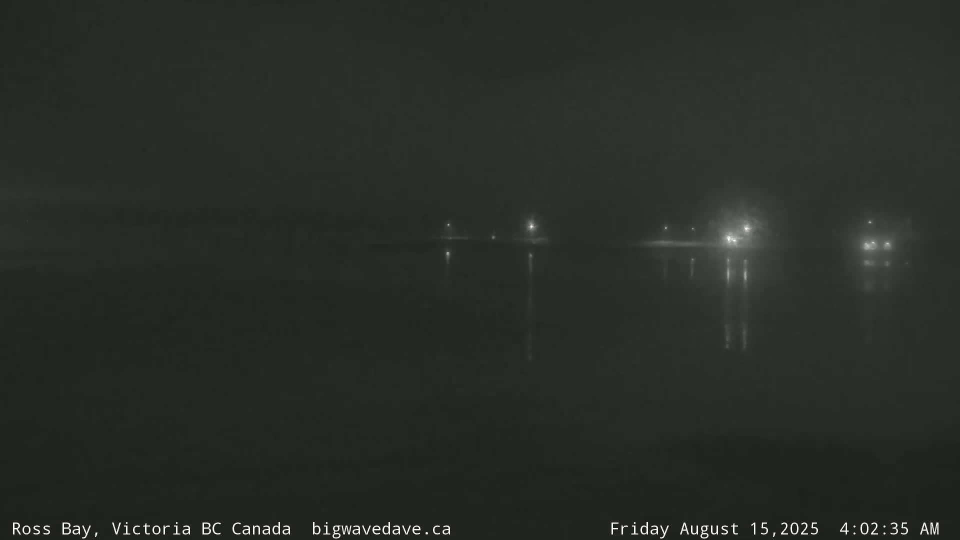 A dark nighttime view of a calm body of water reflecting a few distant lights on the shore.