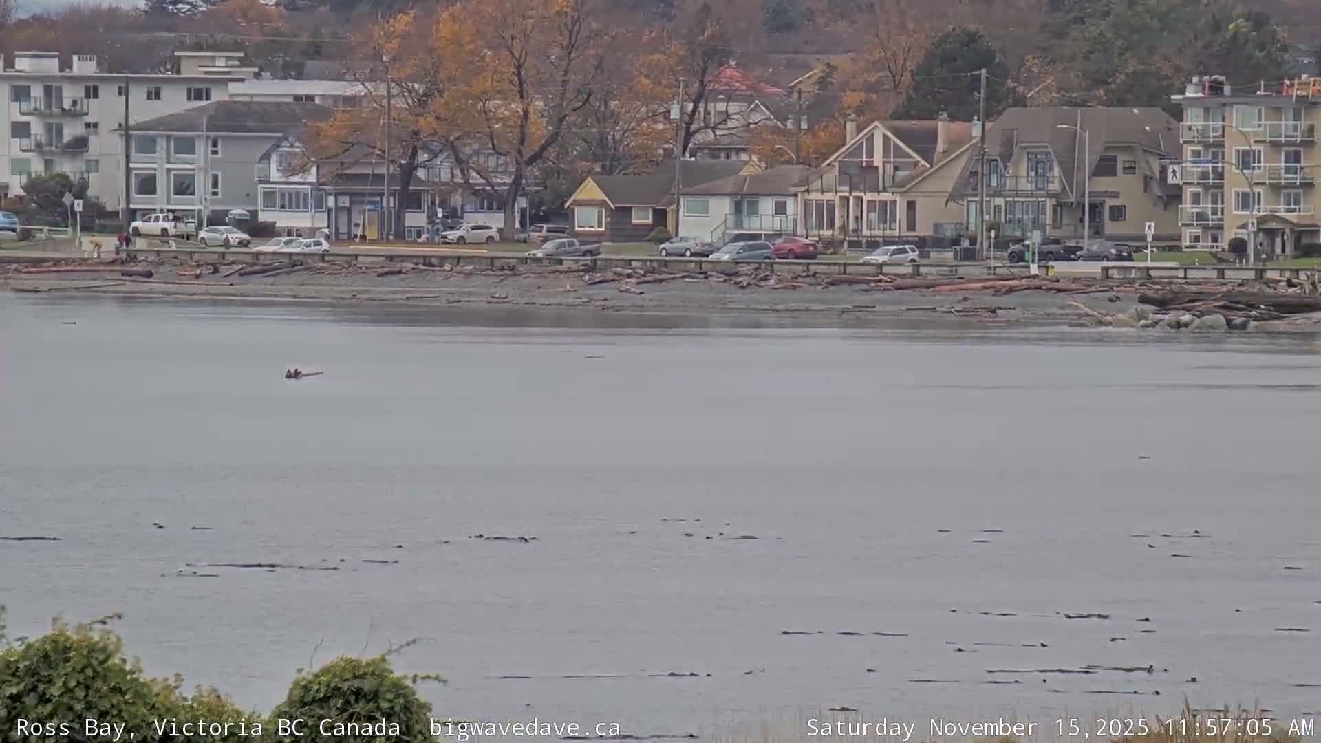 Fairfield District & Ross Bay Pasific & Trail Island Live Cam - Fairfield,  Victoria, Capital Regional District, British Columbia, Canada