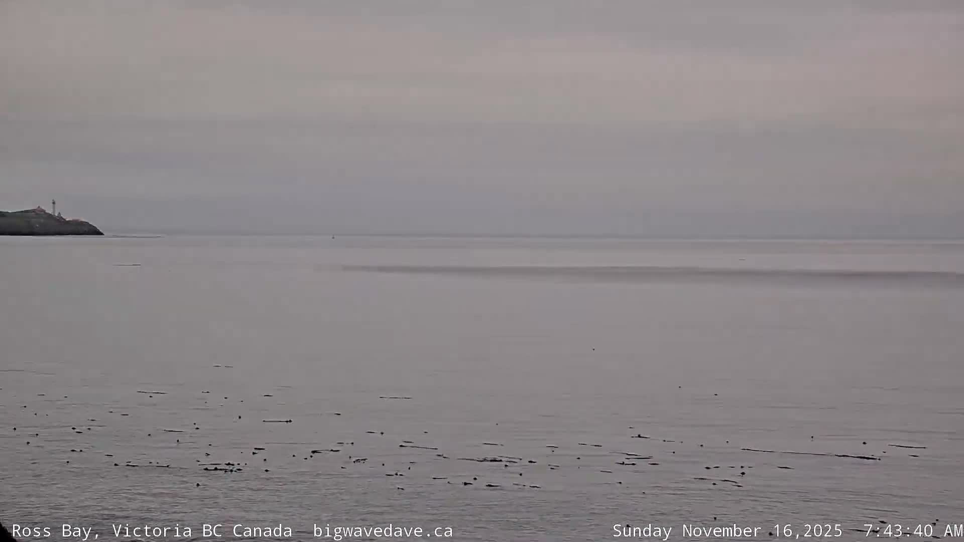 Fairfield District & Ross Bay Pasific & Trail Island Live Cam - Fairfield,  Victoria, Capital Regional District, British Columbia, Canada