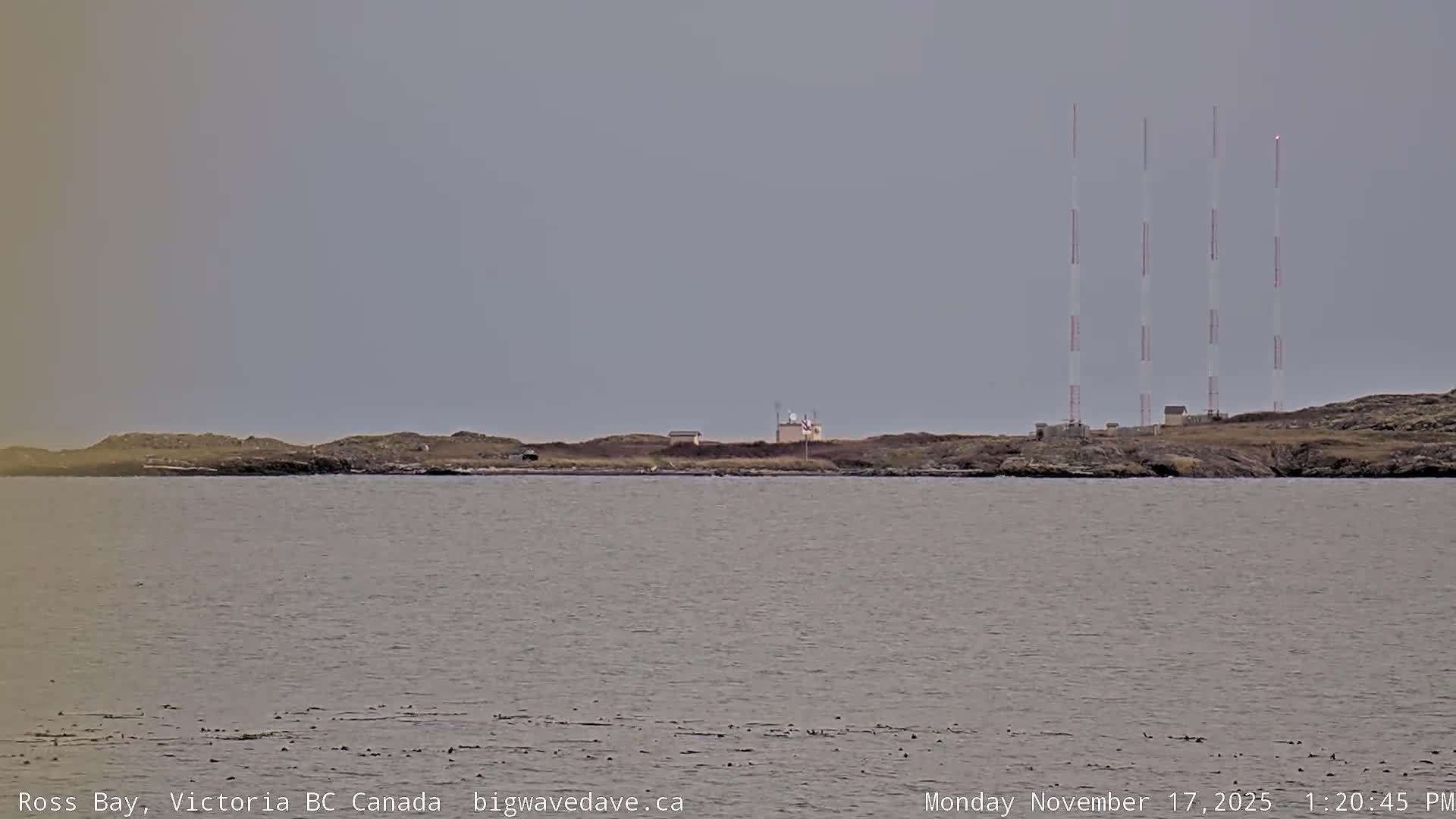 Fairfield District & Ross Bay Pasific & Trail Island Live Cam - Fairfield,  Victoria, Capital Regional District, British Columbia, Canada