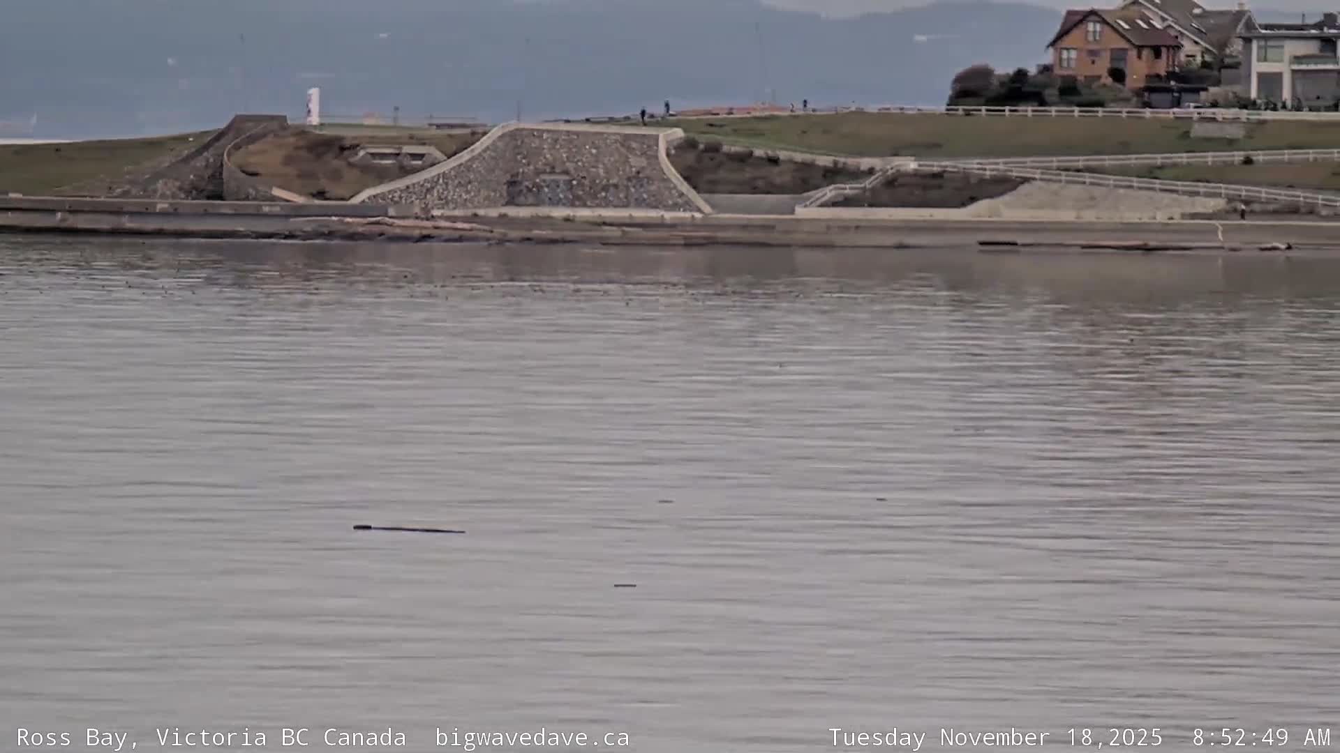 A dark nighttime view of a calm body of water reflecting a few distant lights on the shore.