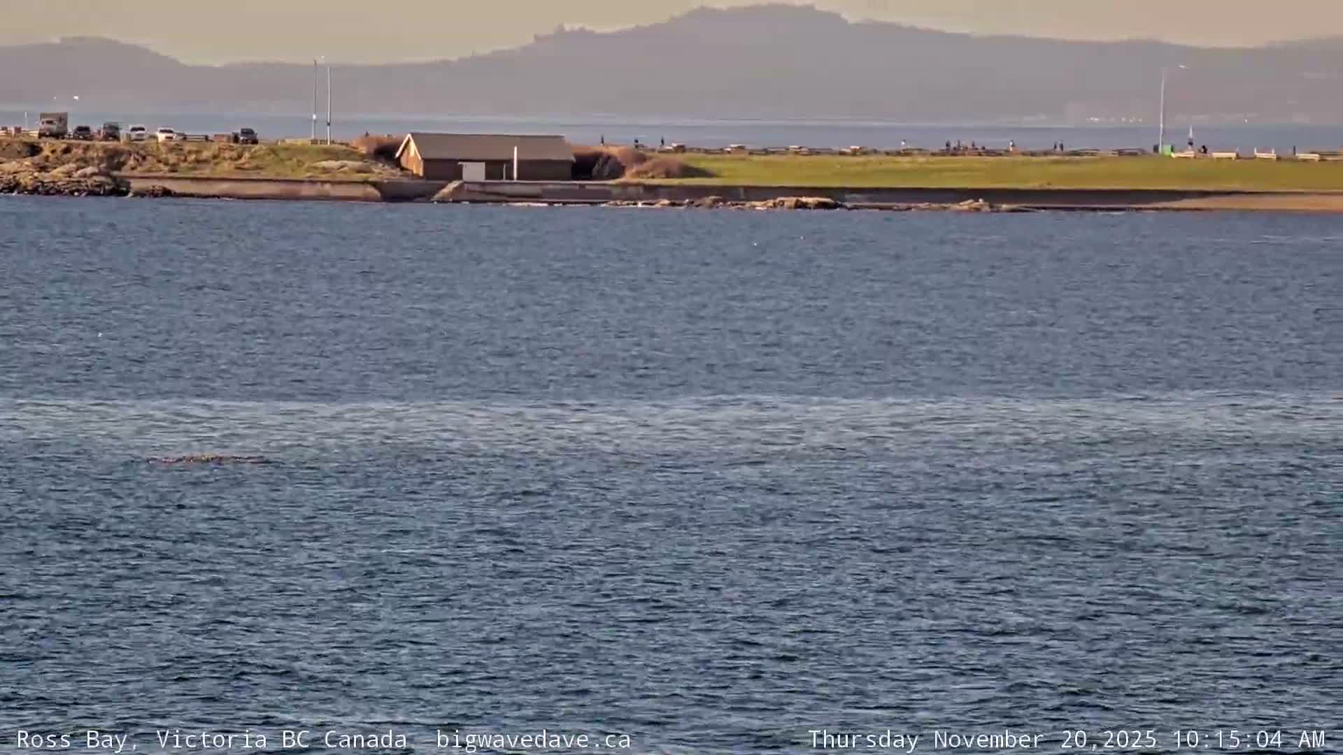 Fairfield District & Ross Bay Pasific & Trail Island Live Cam - Fairfield,  Victoria, Capital Regional District, British Columbia, Canada