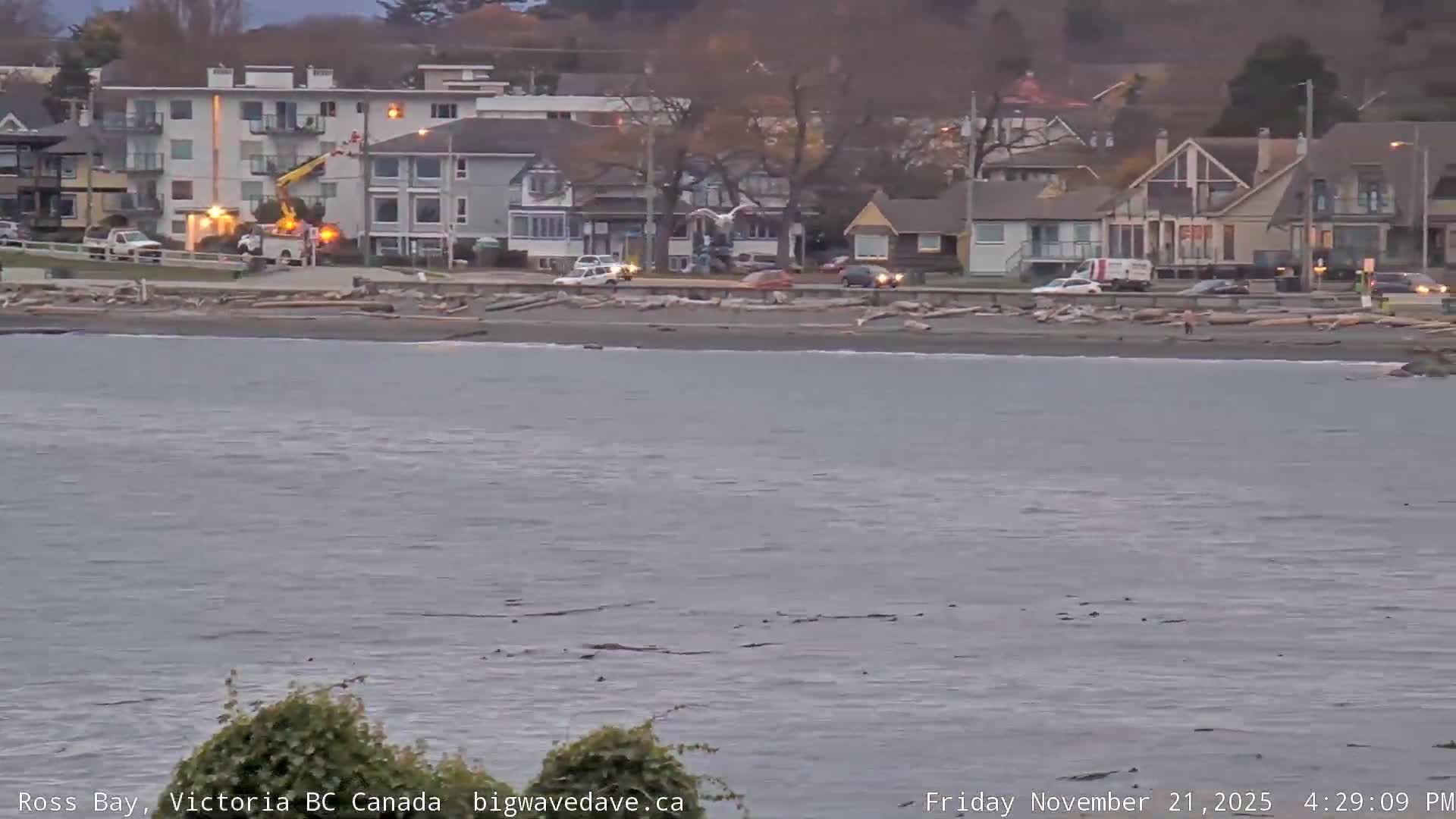 Fairfield District & Ross Bay Pasific & Trail Island Live Cam - Fairfield,  Victoria, Capital Regional District, British Columbia, Canada