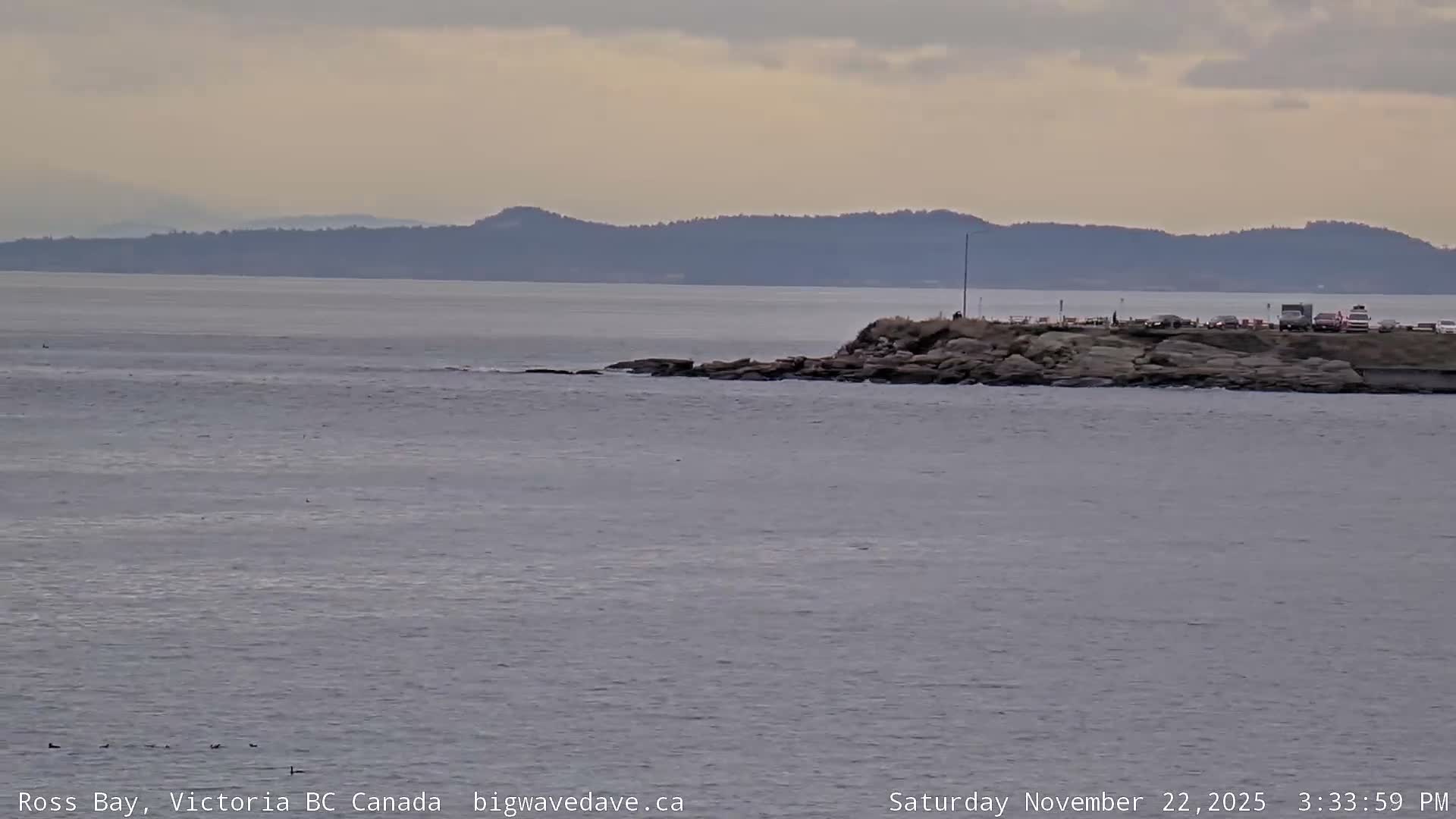 Fairfield District & Ross Bay Pasific & Trail Island Live Cam - Fairfield,  Victoria, Capital Regional District, British Columbia, Canada