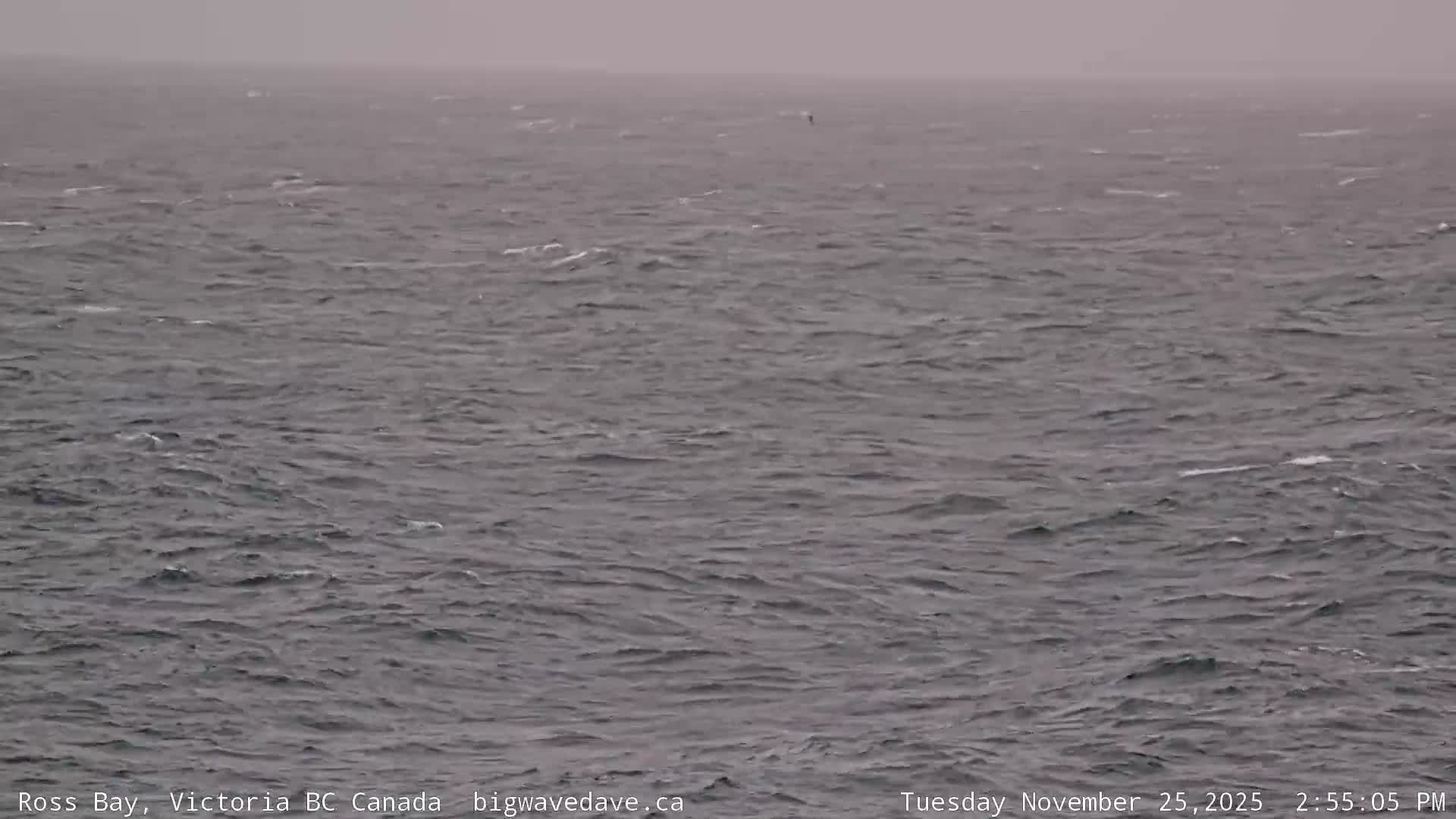 Fairfield District & Ross Bay Pasific & Trail Island Live Cam - Fairfield,  Victoria, Capital Regional District, British Columbia, Canada