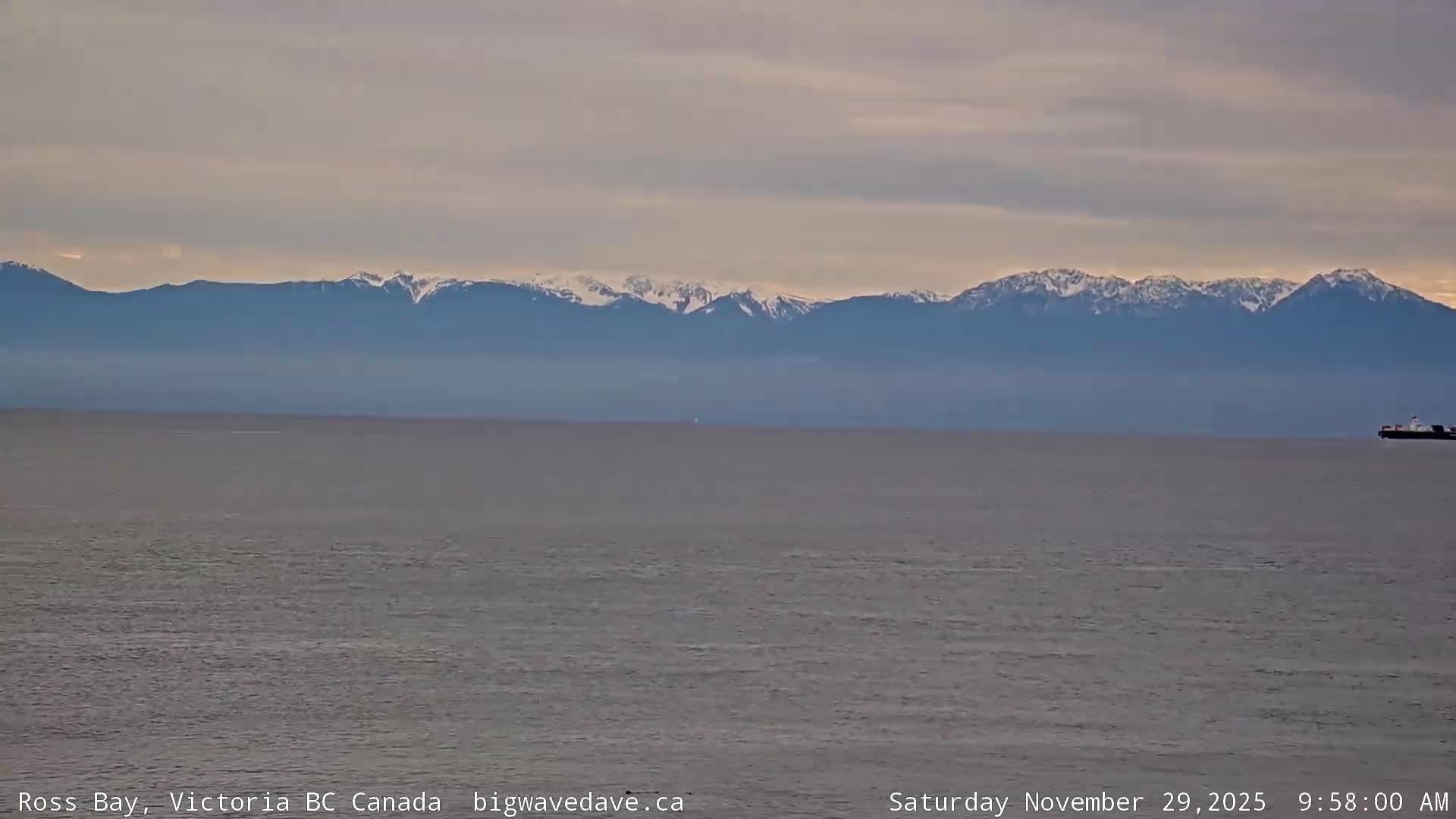 Fairfield District & Ross Bay Pasific & Trail Island Live Cam - Fairfield,  Victoria, Capital Regional District, British Columbia, Canada