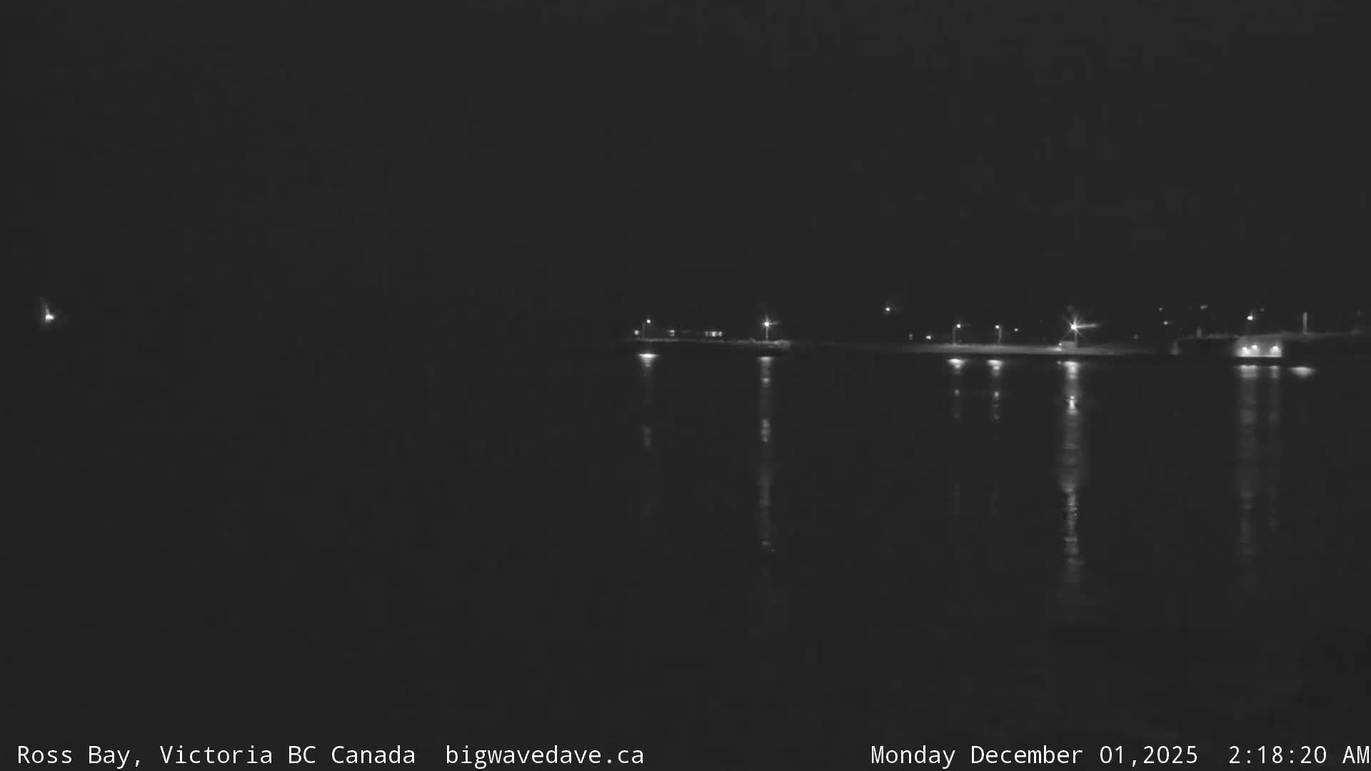 The nighttime image displays a calm body of water reflecting numerous bright lights from a distant shore or pier, under a clear dark sky.
