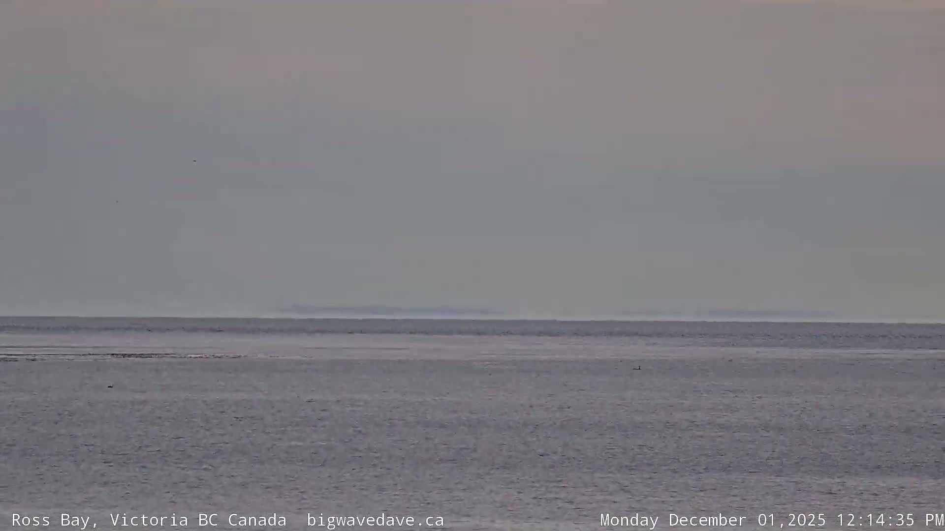 Fairfield District & Ross Bay Pasific & Trail Island Live Cam - Fairfield,  Victoria, Capital Regional District, British Columbia, Canada