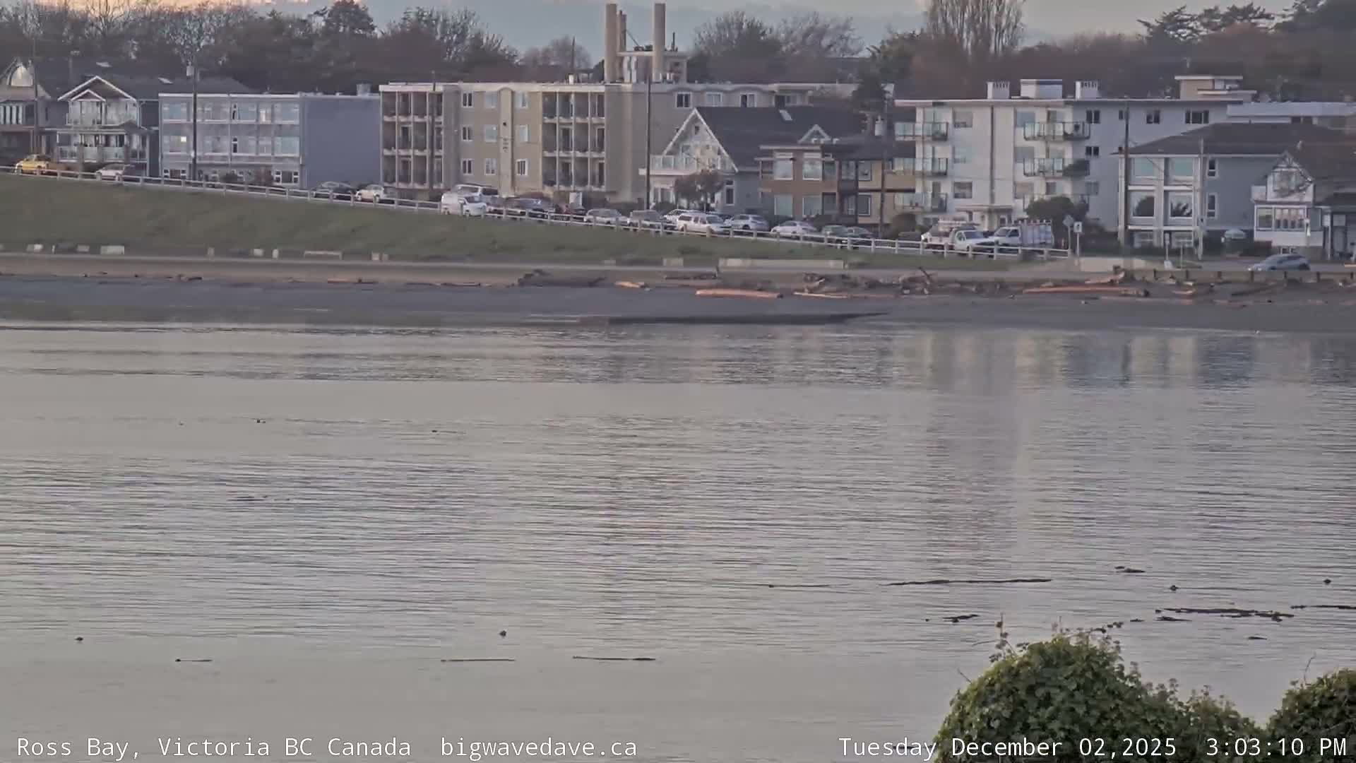 Fairfield District & Ross Bay Pasific & Trail Island Live Cam - Fairfield,  Victoria, Capital Regional District, British Columbia, Canada