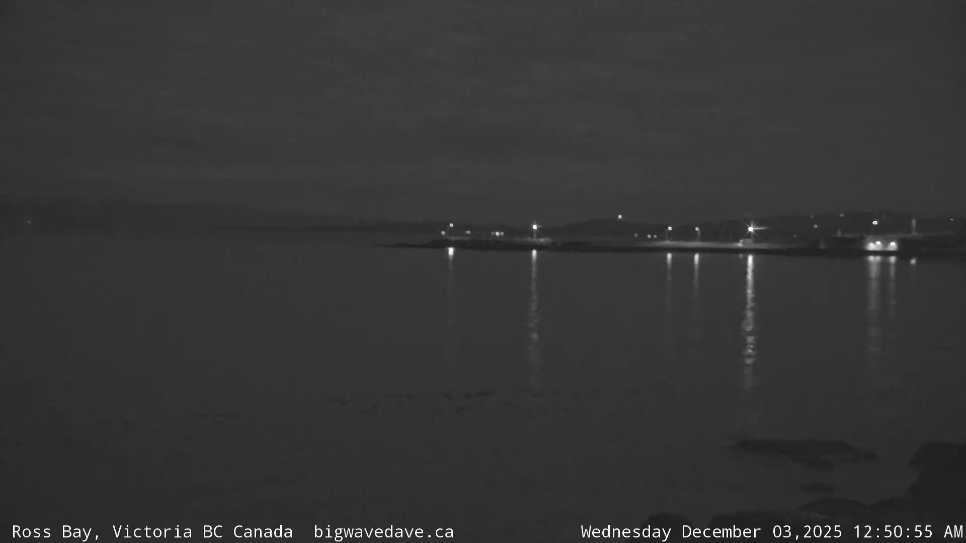 A monochromatic view of a bay on an overcast night, with distant shore lights casting reflections on the calm water.