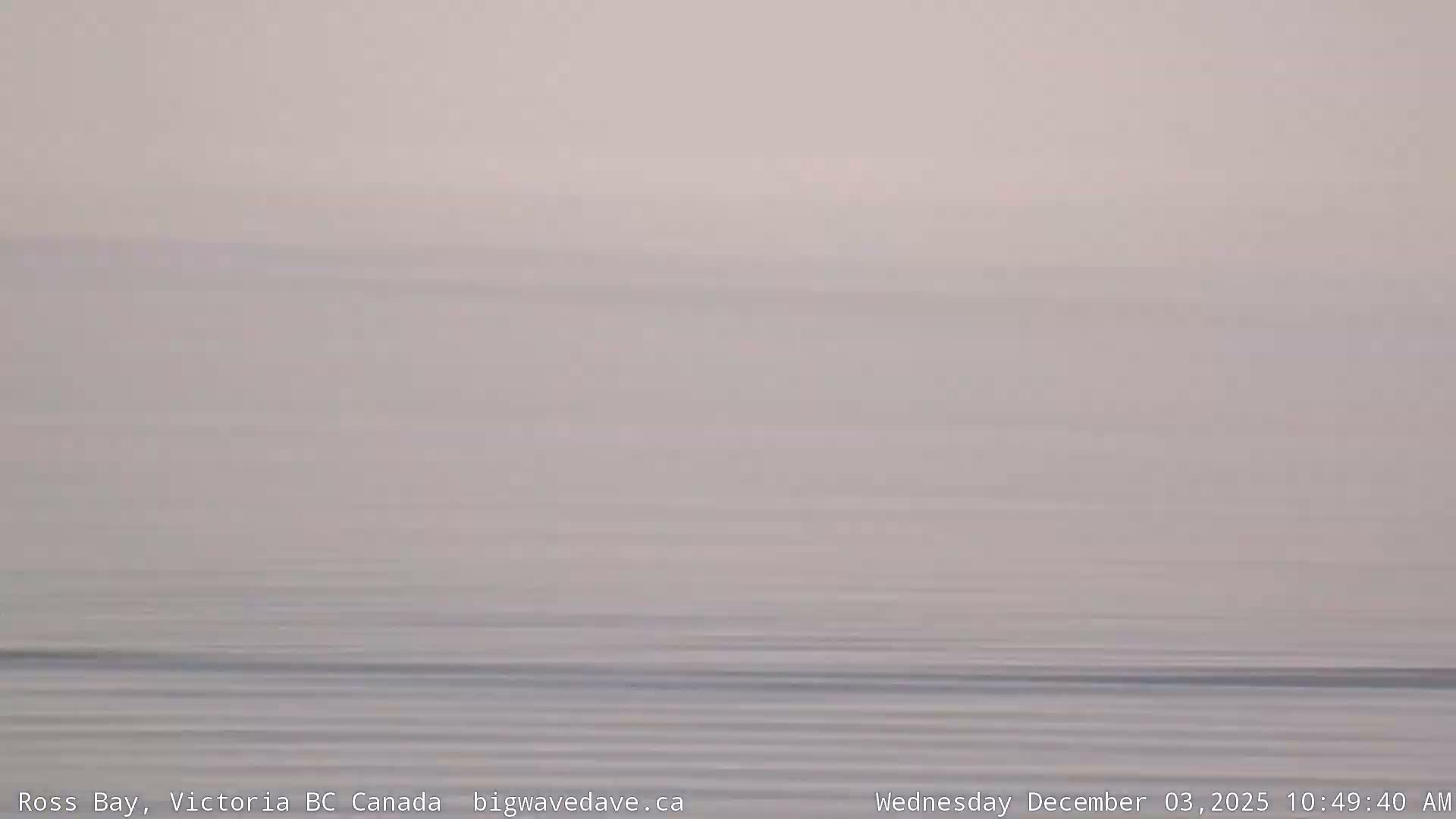 Fairfield District & Ross Bay Pasific & Trail Island Live Cam - Fairfield,  Victoria, Capital Regional District, British Columbia, Canada