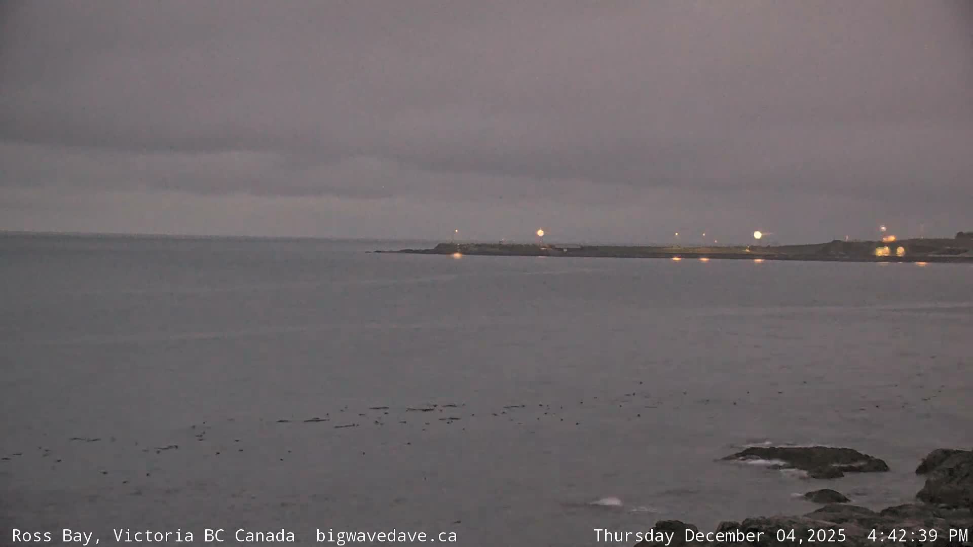 Fairfield District & Ross Bay Pasific & Trail Island Live Cam - Fairfield,  Victoria, Capital Regional District, British Columbia, Canada