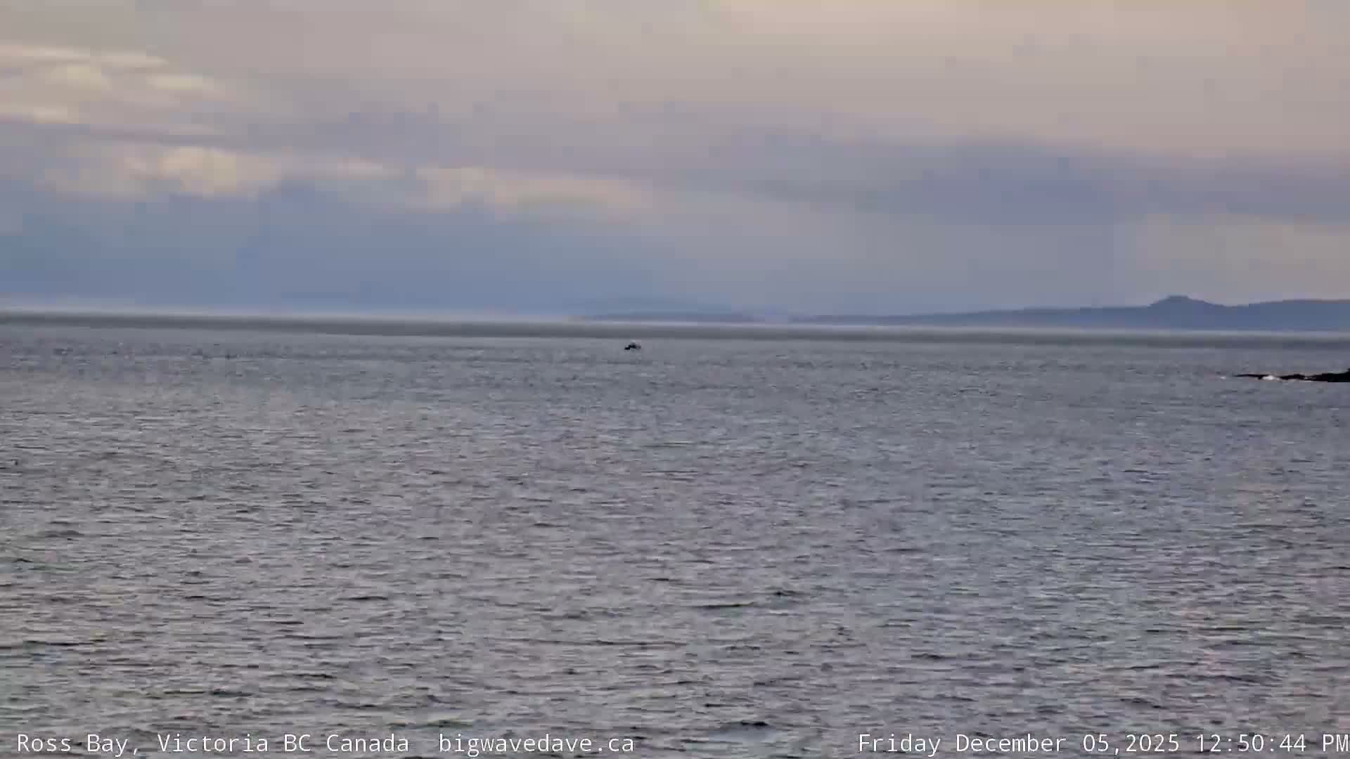 Fairfield District & Ross Bay Pasific & Trail Island Live Cam - Fairfield,  Victoria, Capital Regional District, British Columbia, Canada