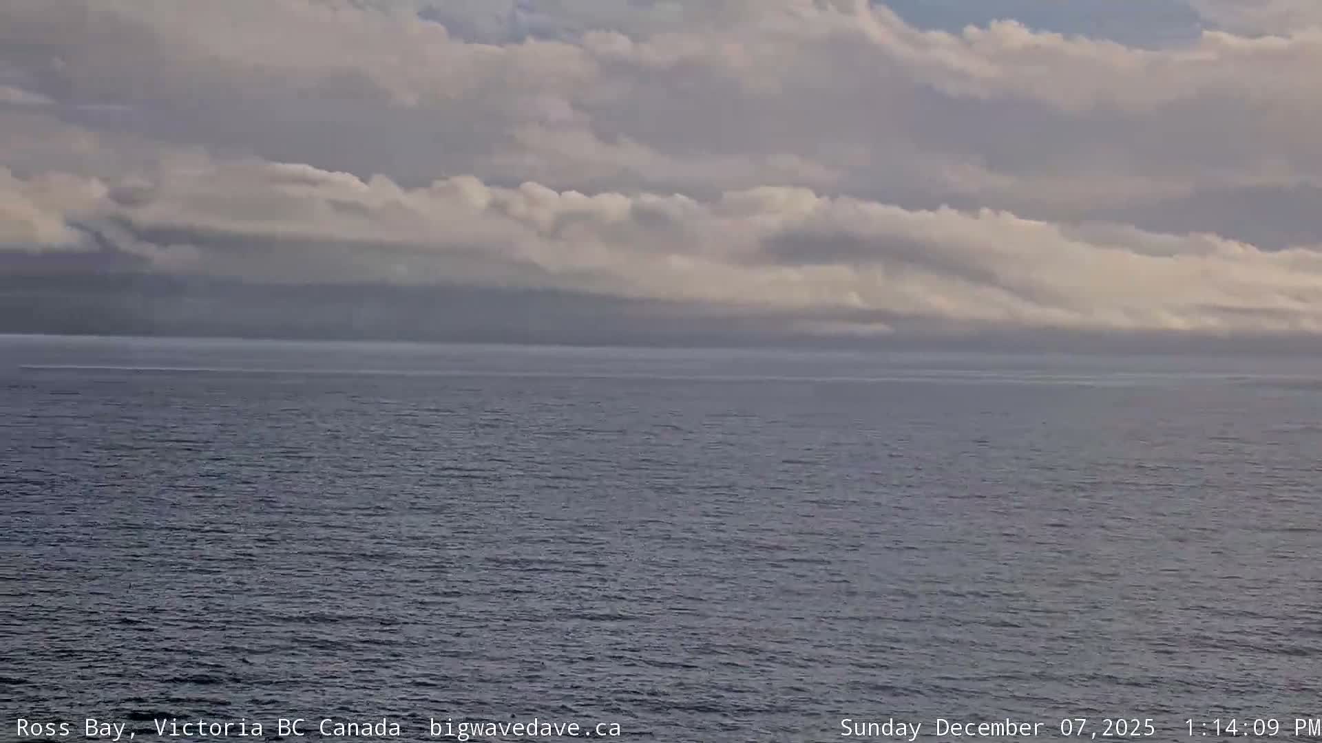 Fairfield District & Ross Bay Pasific & Trail Island Live Cam - Fairfield,  Victoria, Capital Regional District, British Columbia, Canada