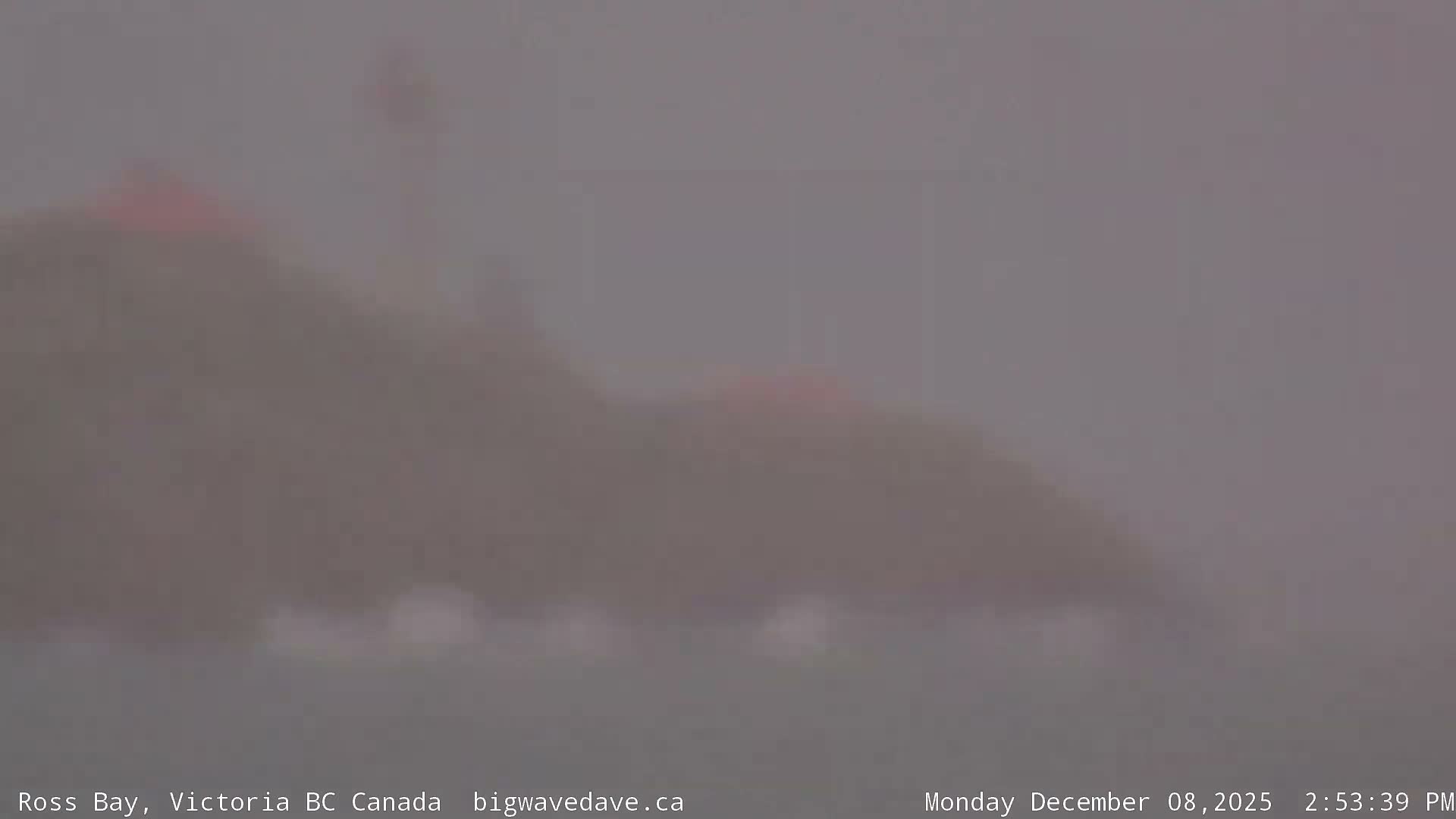 Fairfield District & Ross Bay Pasific & Trail Island Live Cam - Fairfield,  Victoria, Capital Regional District, British Columbia, Canada