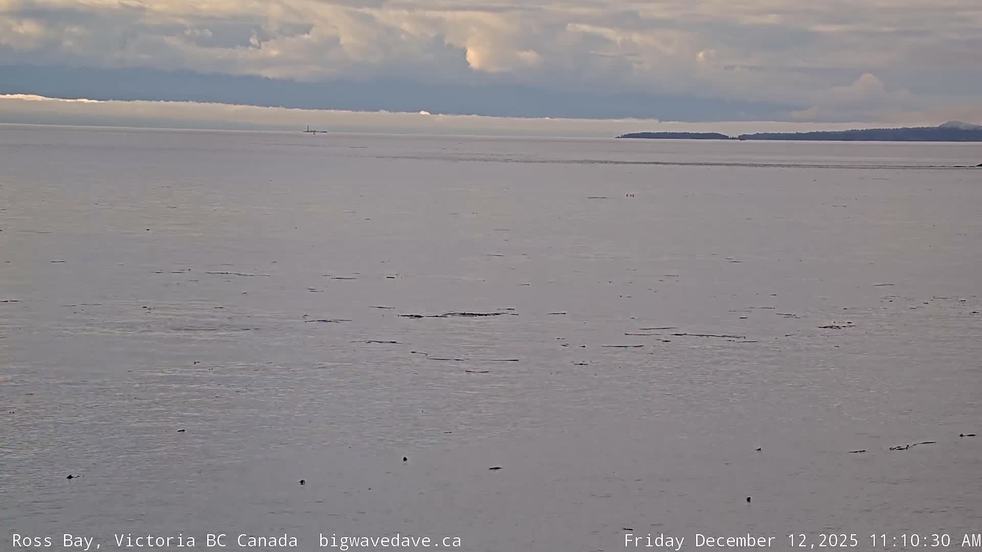 Fairfield District & Ross Bay Pasific & Trail Island Live Cam - Fairfield,  Victoria, Capital Regional District, British Columbia, Canada