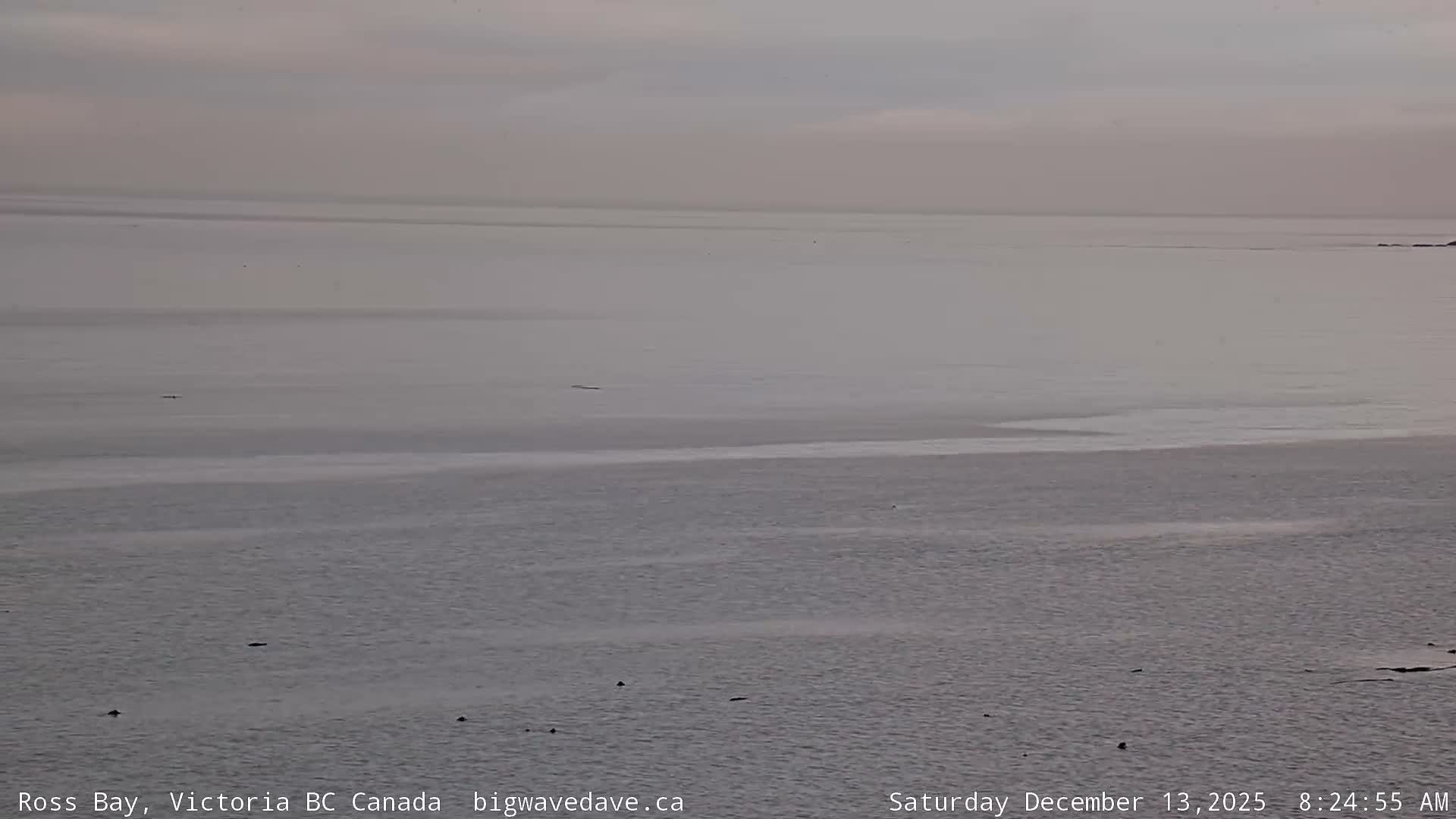 Fairfield District & Ross Bay Pasific & Trail Island Live Cam - Fairfield,  Victoria, Capital Regional District, British Columbia, Canada