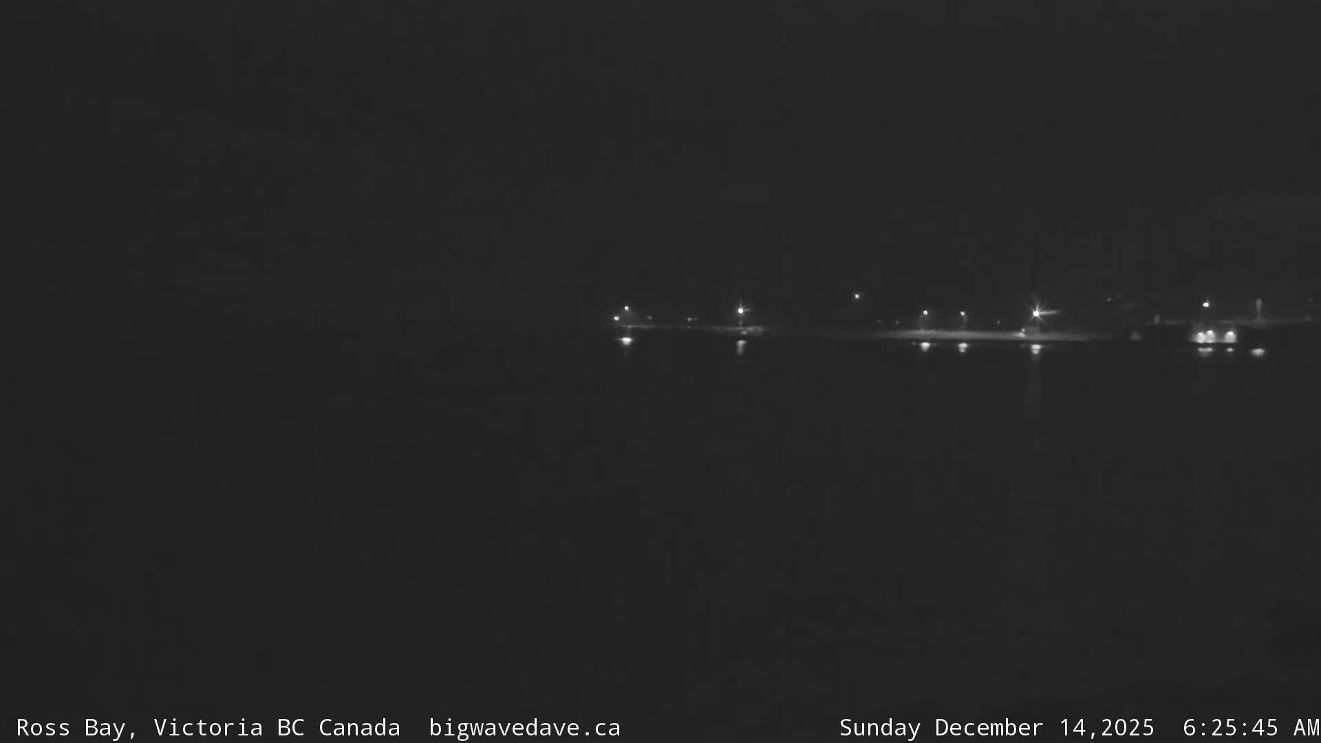 A monochromatic view of a bay on an overcast night, with distant shore lights casting reflections on the calm water.