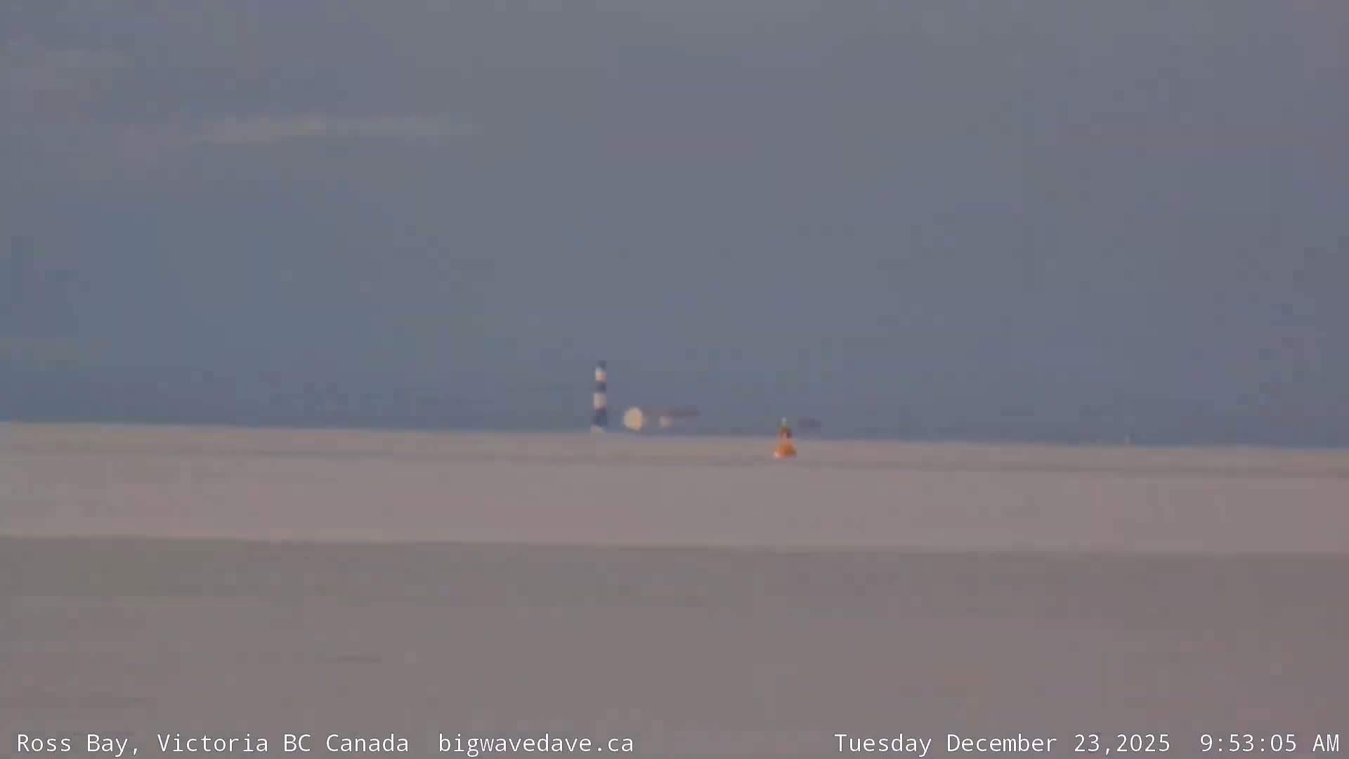 Fairfield District & Ross Bay Pasific & Trail Island Live Cam - Fairfield,  Victoria, Capital Regional District, British Columbia, Canada