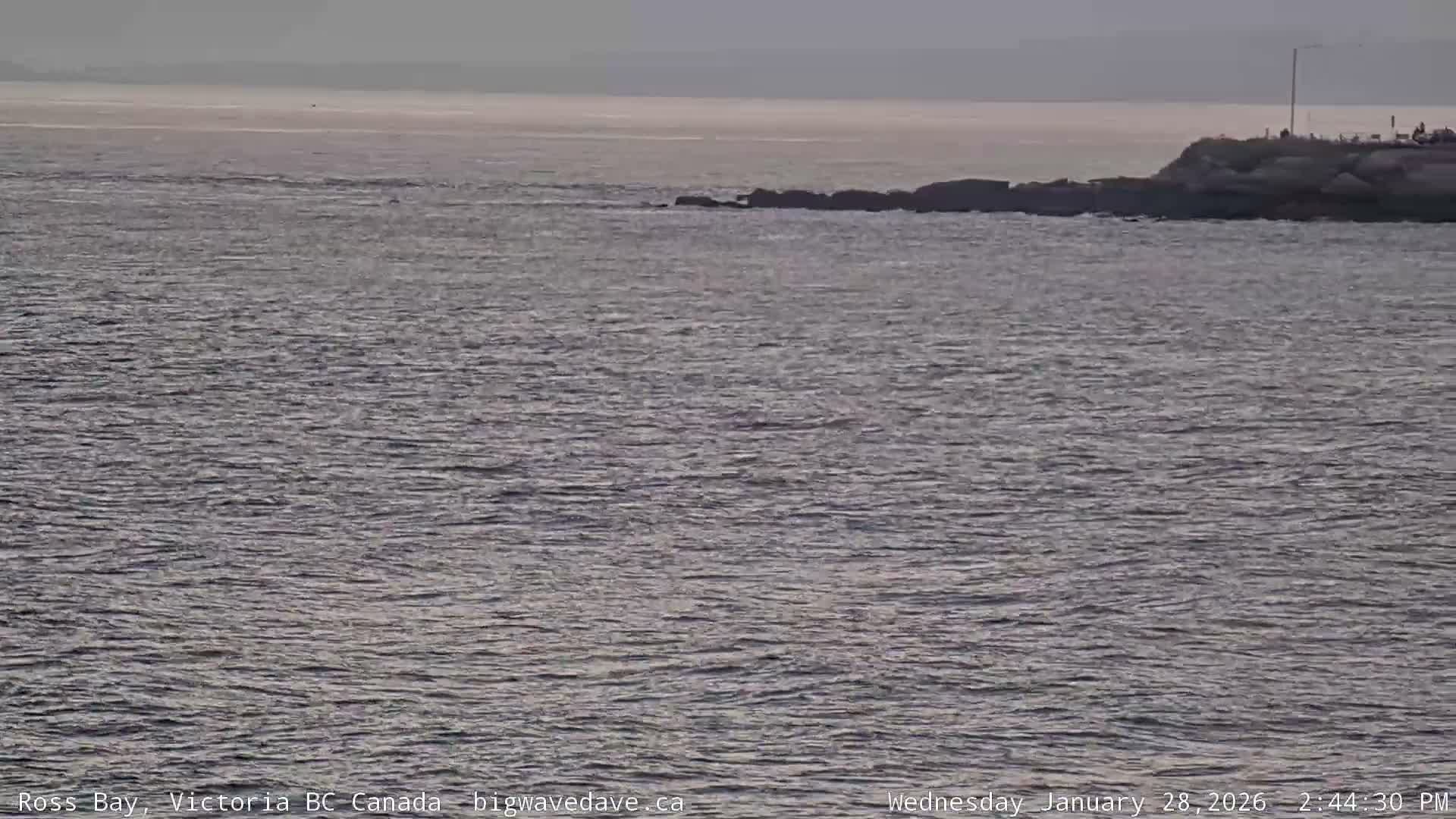 Fairfield District & Ross Bay Pasific & Trail Island Live Cam - Fairfield,  Victoria, Capital Regional District, British Columbia, Canada
