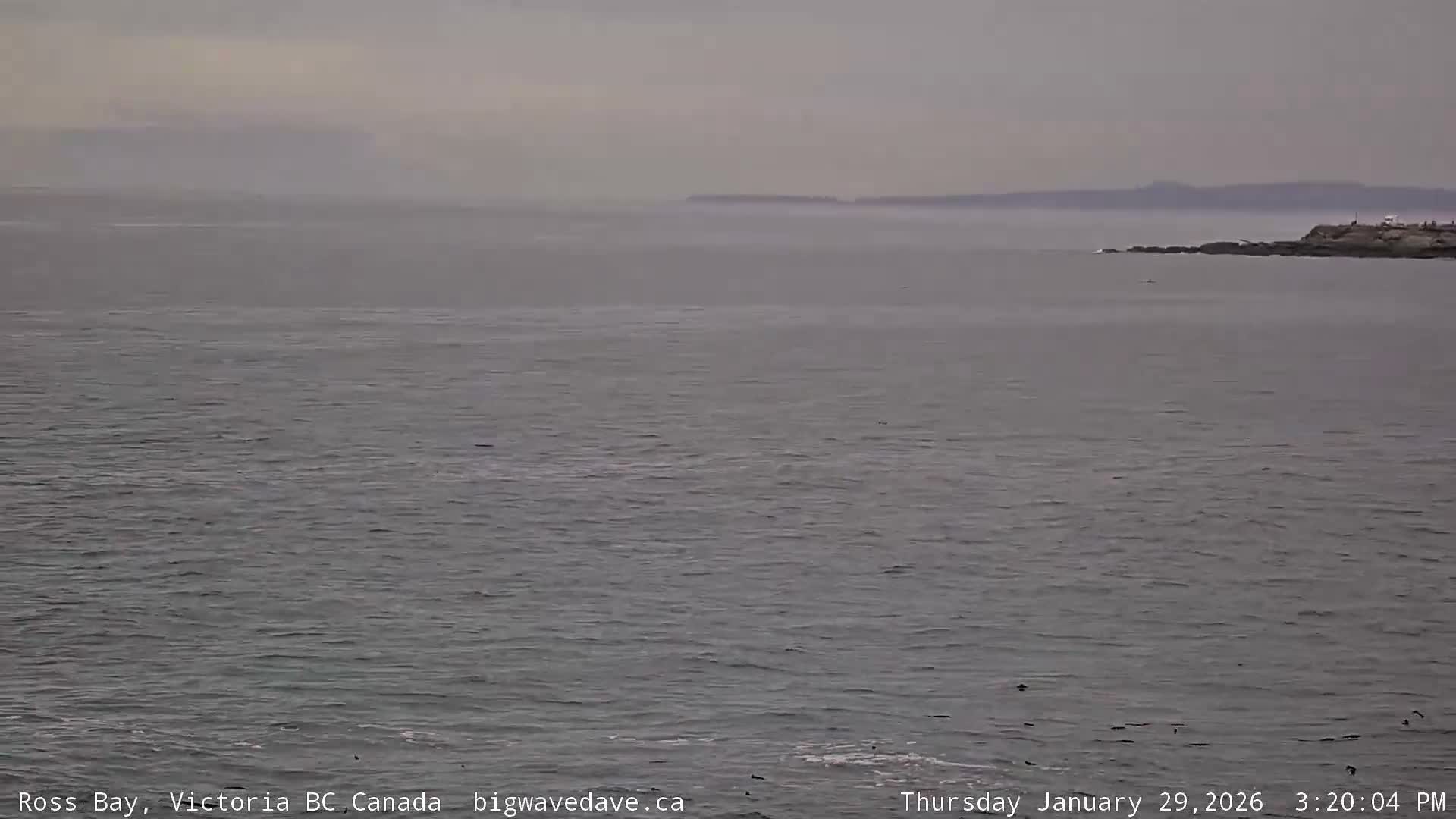 Fairfield District & Ross Bay Pasific & Trail Island Live Cam - Fairfield,  Victoria, Capital Regional District, British Columbia, Canada