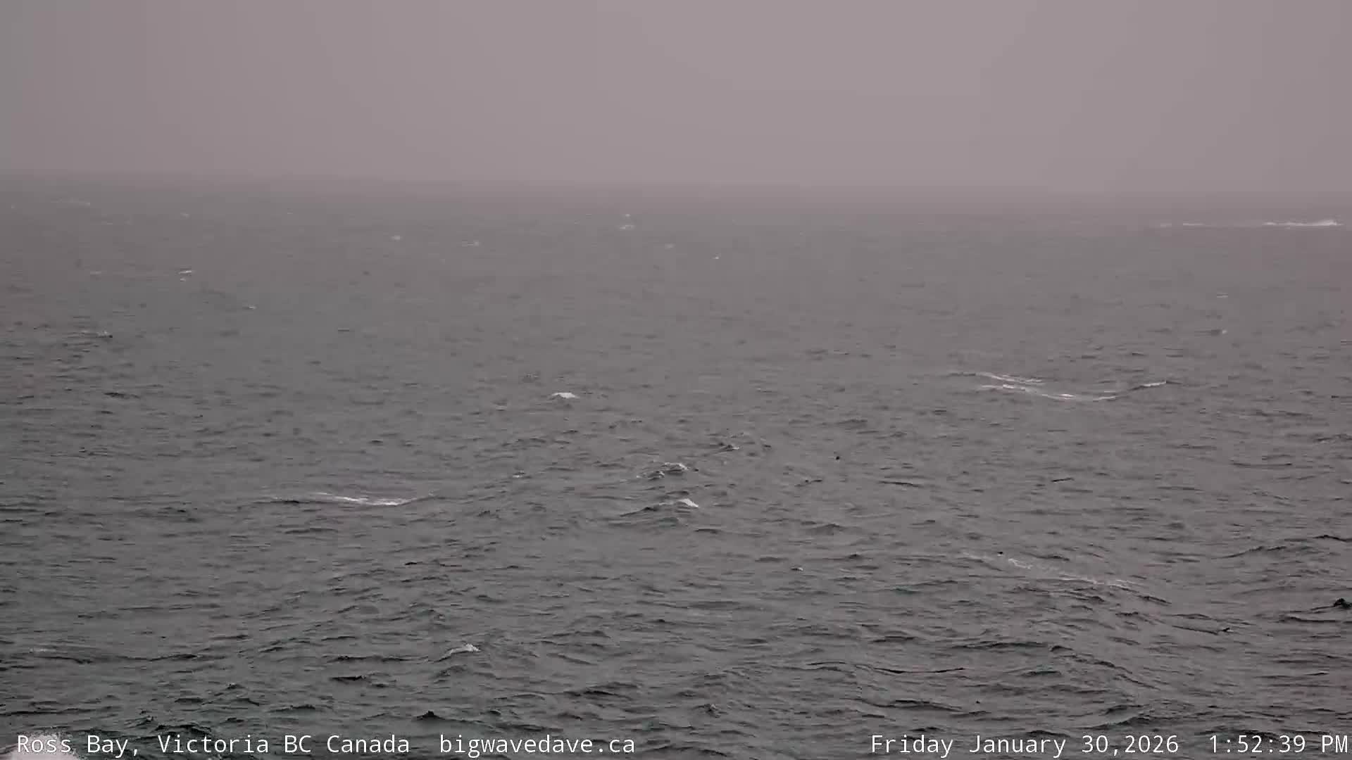 Fairfield District & Ross Bay Pasific & Trail Island Live Cam - Fairfield,  Victoria, Capital Regional District, British Columbia, Canada