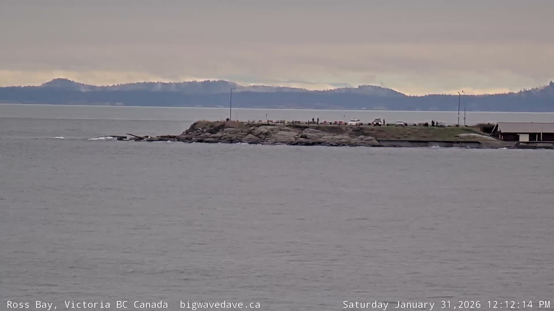 Fairfield District & Ross Bay Pasific & Trail Island Live Cam - Fairfield,  Victoria, Capital Regional District, British Columbia, Canada