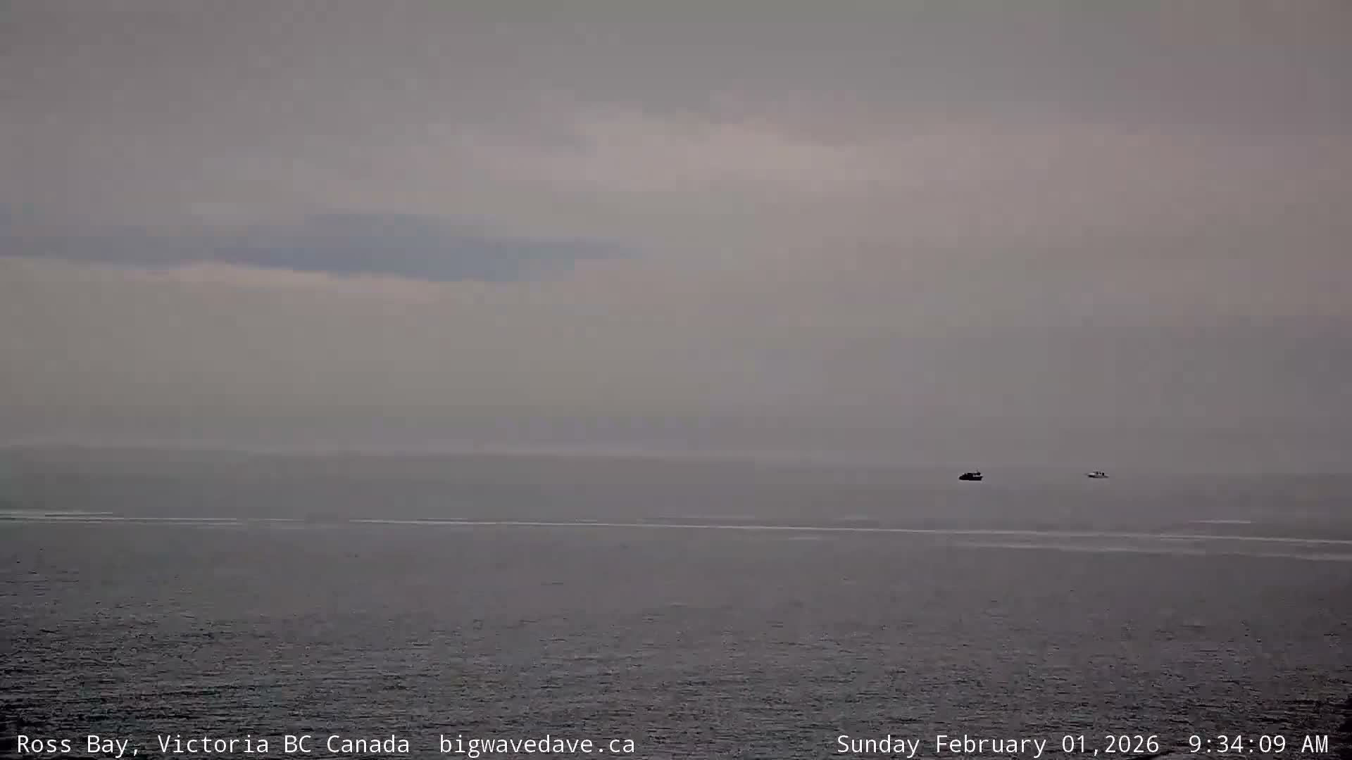 Fairfield District & Ross Bay Pasific & Trail Island Live Cam - Fairfield,  Victoria, Capital Regional District, British Columbia, Canada