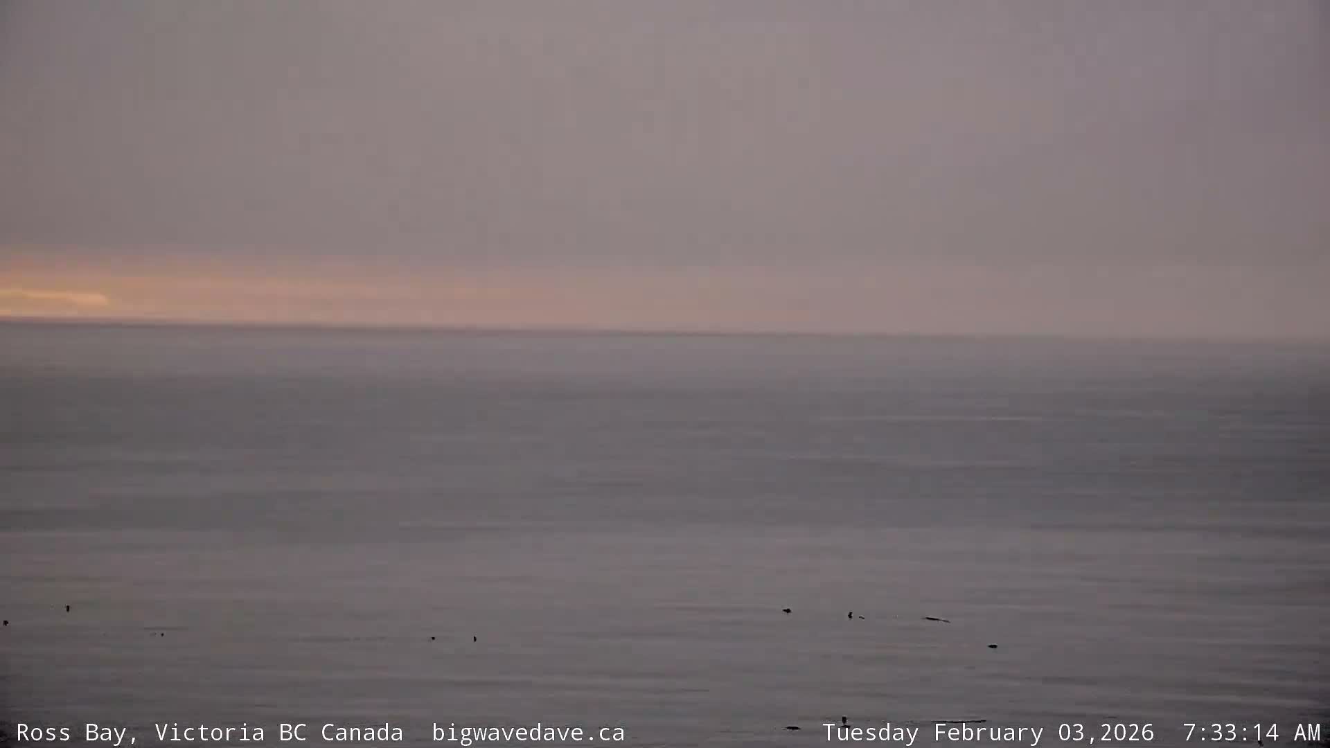 Fairfield District & Ross Bay Pasific & Trail Island Live Cam - Fairfield,  Victoria, Capital Regional District, British Columbia, Canada