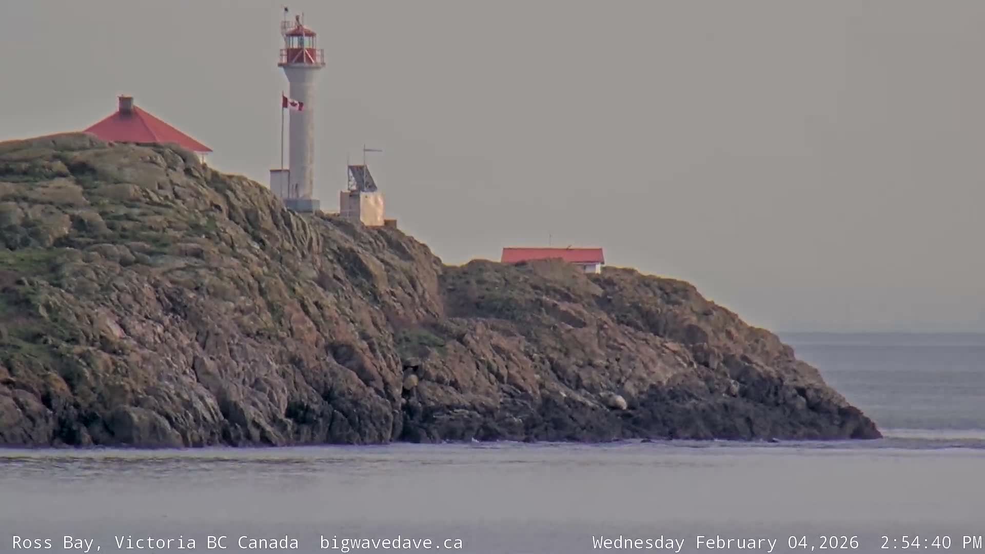 Fairfield District & Ross Bay Pasific & Trail Island Live Cam - Fairfield,  Victoria, Capital Regional District, British Columbia, Canada