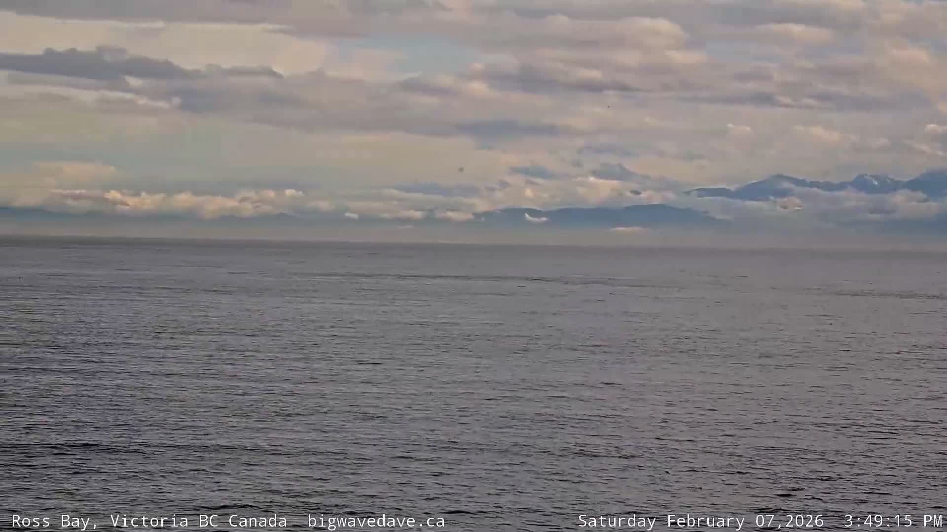 Fairfield District & Ross Bay Pasific & Trail Island Live Cam - Fairfield,  Victoria, Capital Regional District, British Columbia, Canada