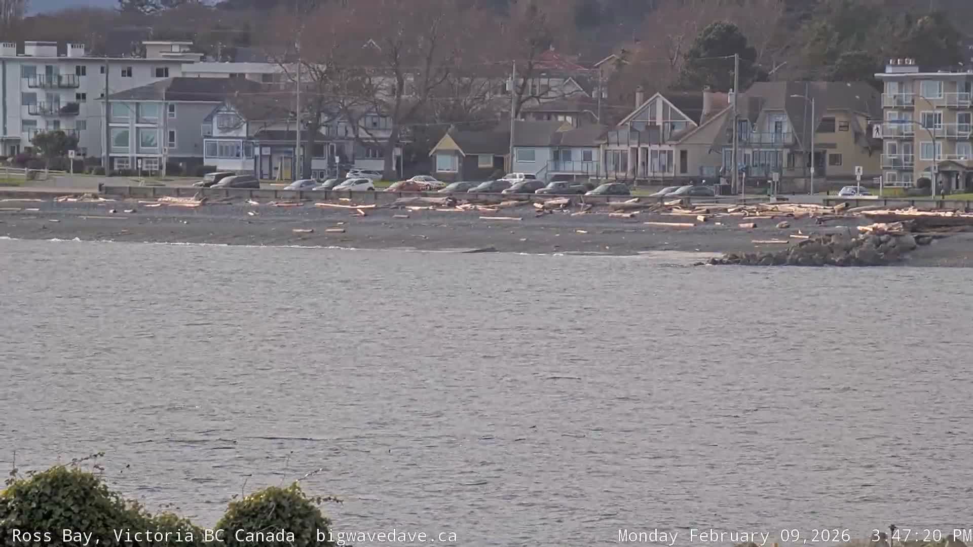 Fairfield District & Ross Bay Pasific & Trail Island Live Cam - Fairfield,  Victoria, Capital Regional District, British Columbia, Canada
