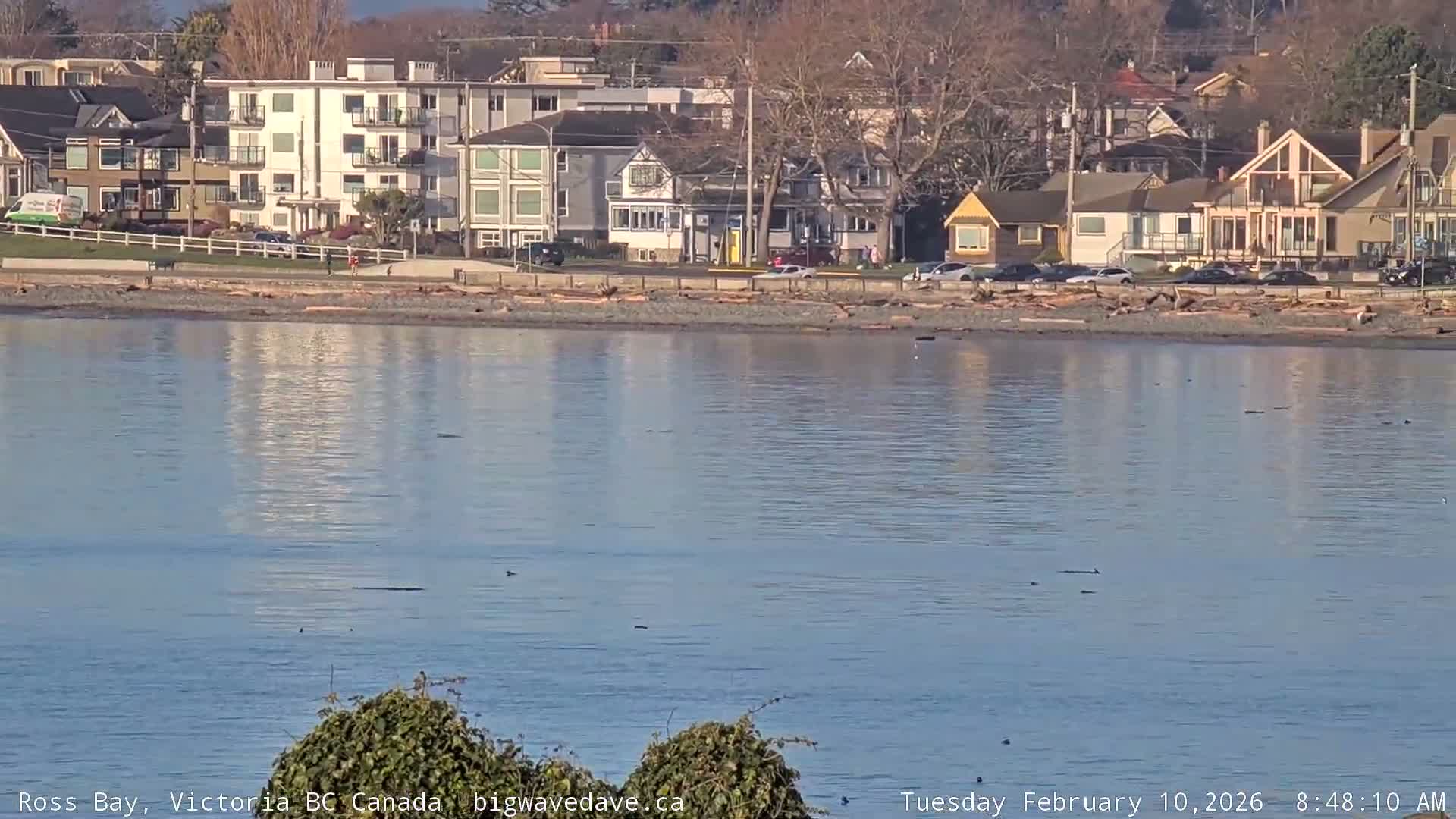 Fairfield District & Ross Bay Pasific & Trail Island Live Cam - Fairfield,  Victoria, Capital Regional District, British Columbia, Canada