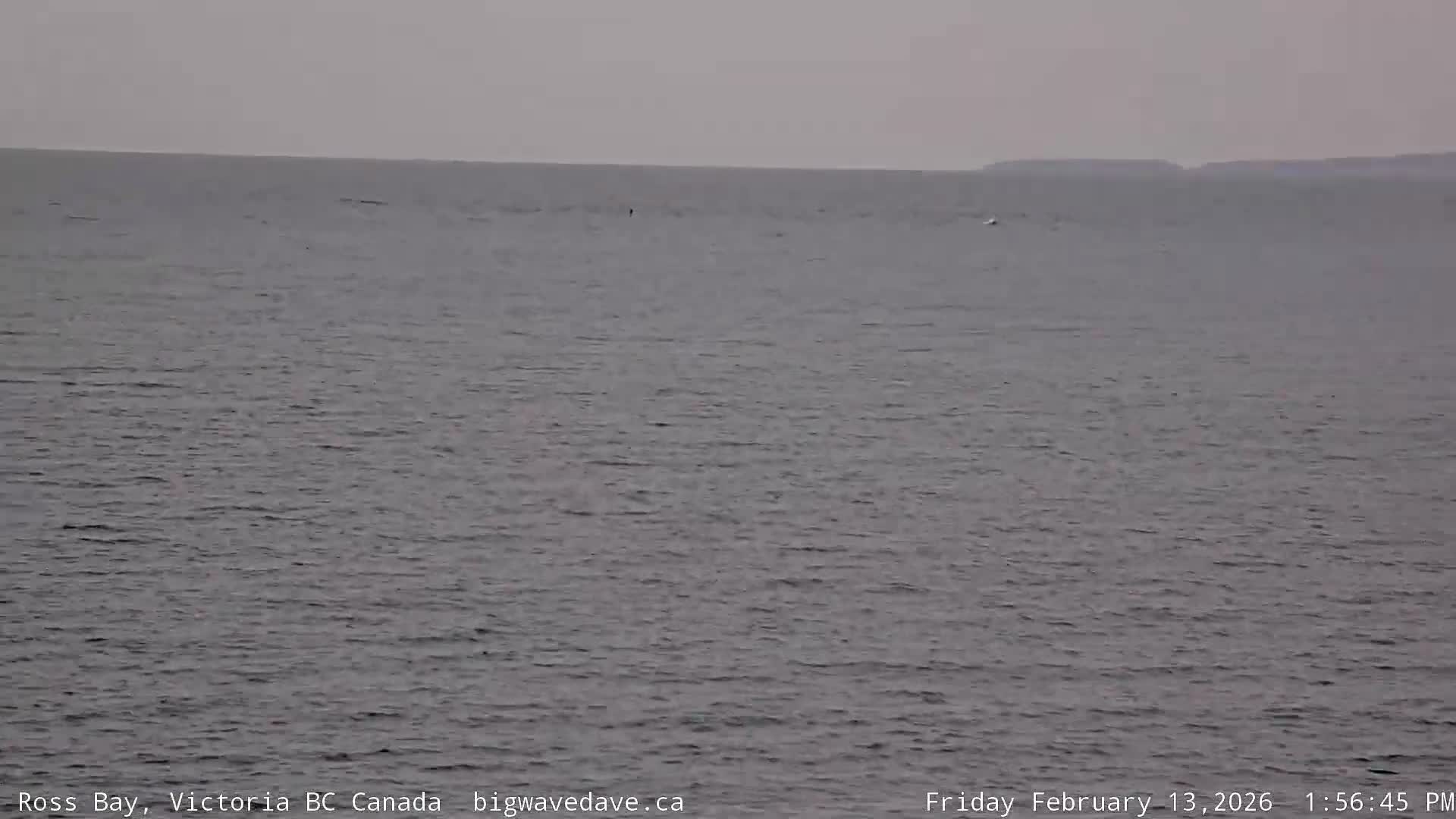 Fairfield District & Ross Bay Pasific & Trail Island Live Cam - Fairfield,  Victoria, Capital Regional District, British Columbia, Canada