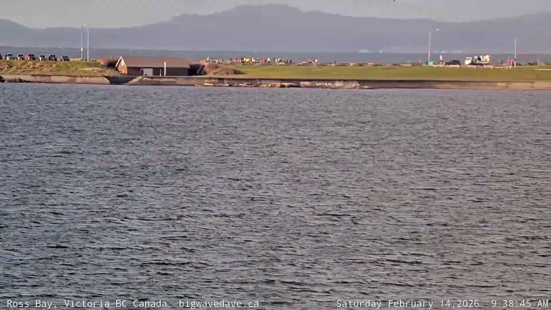Fairfield District & Ross Bay Pasific & Trail Island Live Cam - Fairfield,  Victoria, Capital Regional District, British Columbia, Canada