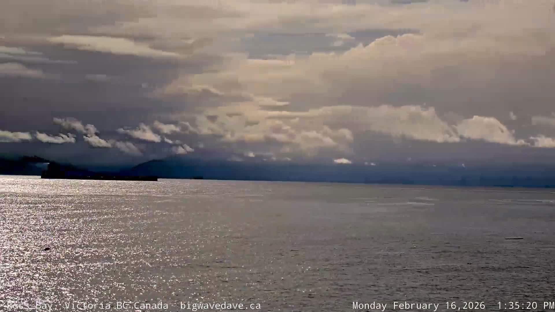 Fairfield District & Ross Bay Pasific & Trail Island Live Cam - Fairfield,  Victoria, Capital Regional District, British Columbia, Canada