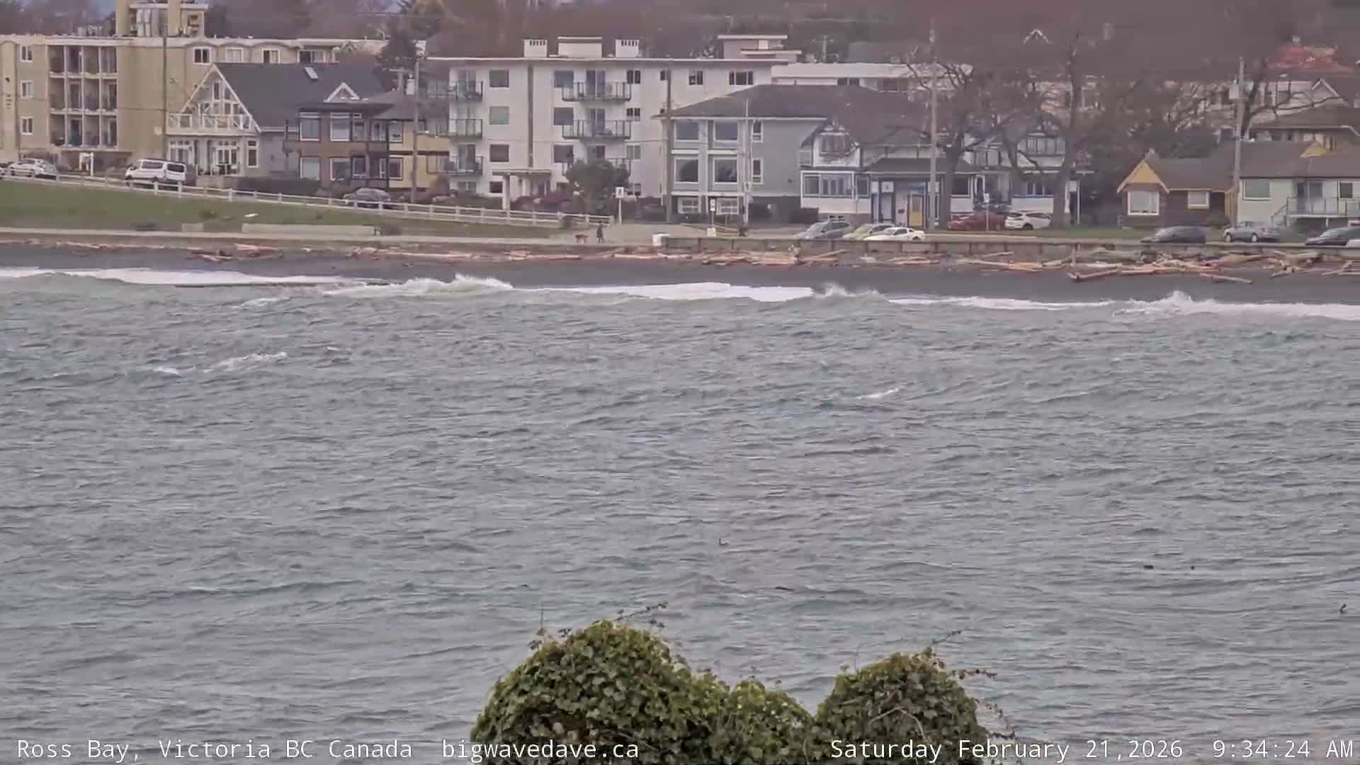Fairfield District & Ross Bay Pasific & Trail Island Live Cam - Fairfield,  Victoria, Capital Regional District, British Columbia, Canada