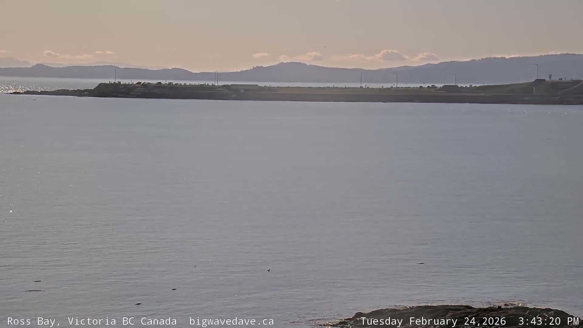 Fairfield District & Ross Bay Pasific & Trail Island Live Cam - Fairfield,  Victoria, Capital Regional District, British Columbia, Canada