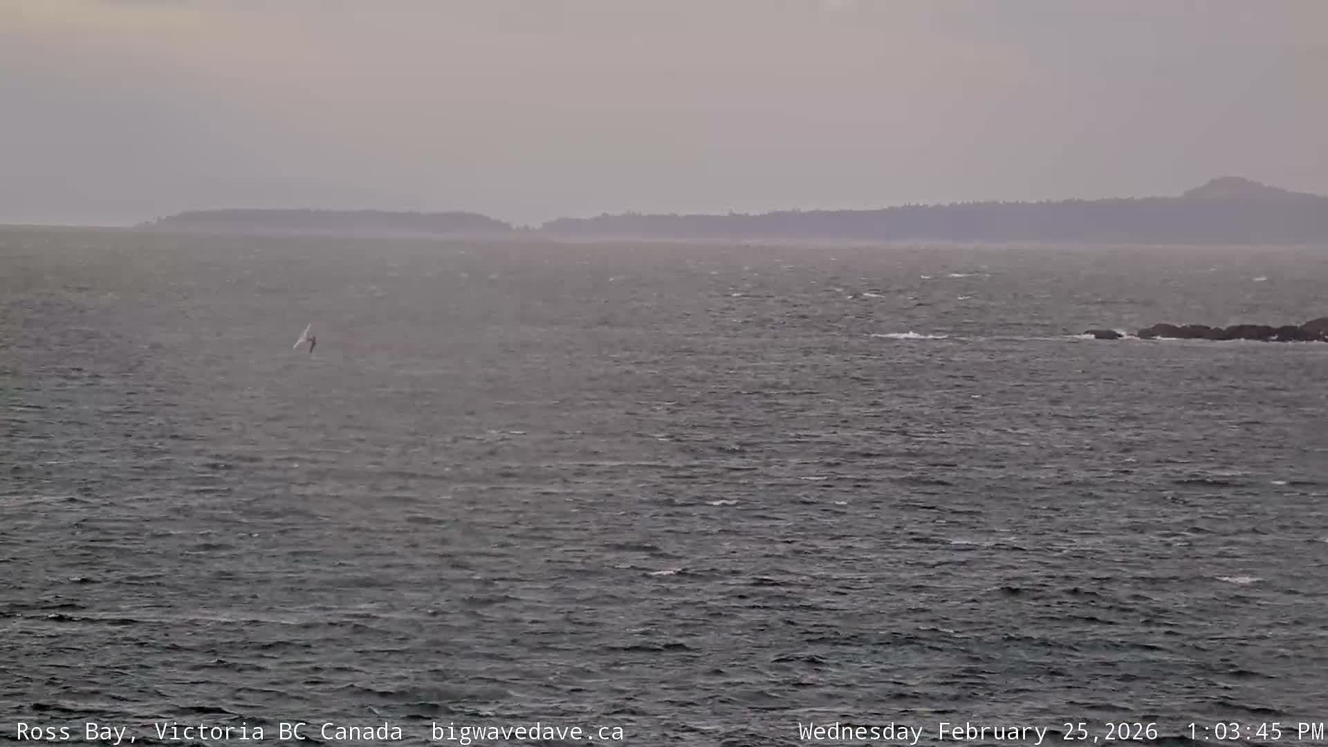 Fairfield District & Ross Bay Pasific & Trail Island Live Cam - Fairfield,  Victoria, Capital Regional District, British Columbia, Canada