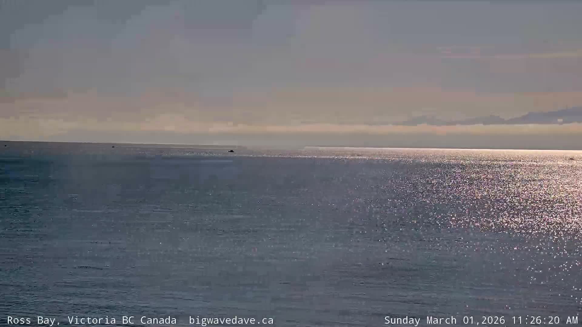 Fairfield District & Ross Bay Pasific & Trail Island Live Cam - Fairfield,  Victoria, Capital Regional District, British Columbia, Canada