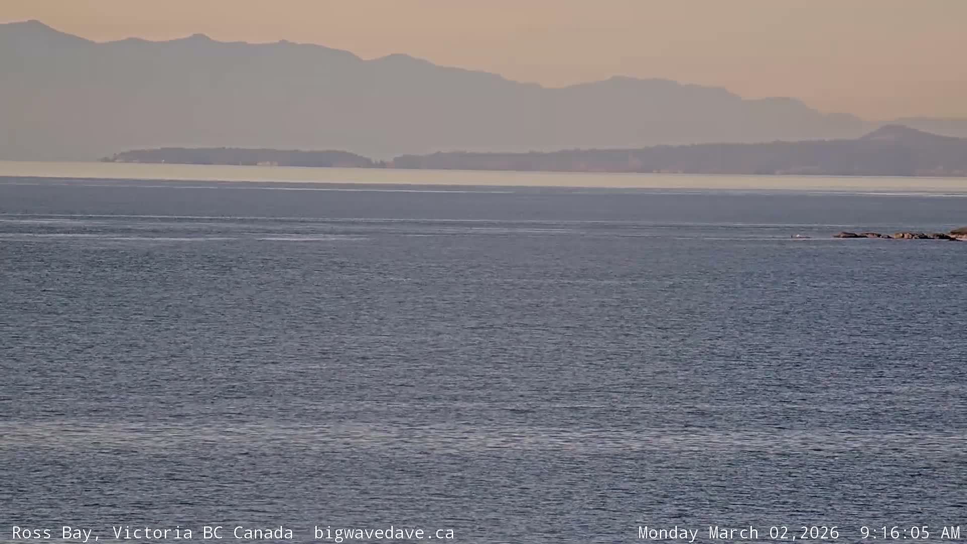 Fairfield District & Ross Bay Pasific & Trail Island Live Cam - Fairfield,  Victoria, Capital Regional District, British Columbia, Canada