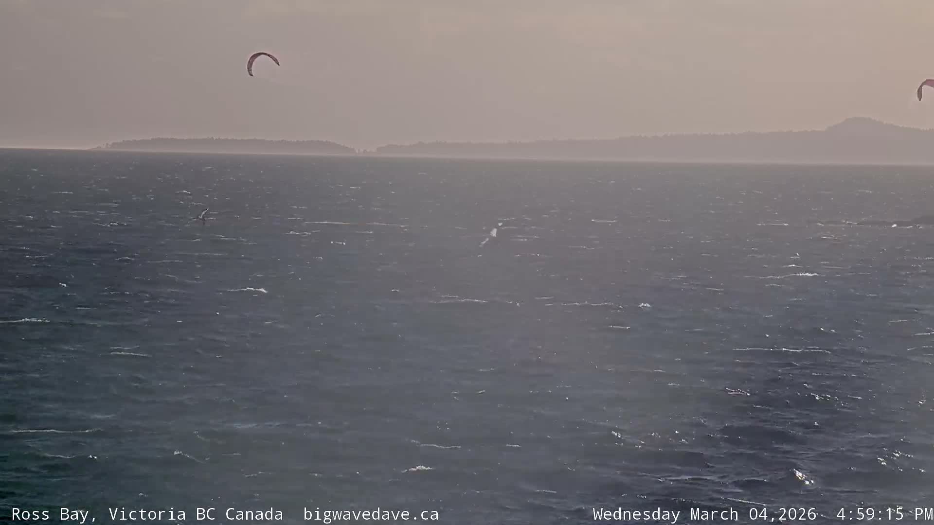 Fairfield District & Ross Bay Pasific & Trail Island Live Cam - Fairfield,  Victoria, Capital Regional District, British Columbia, Canada