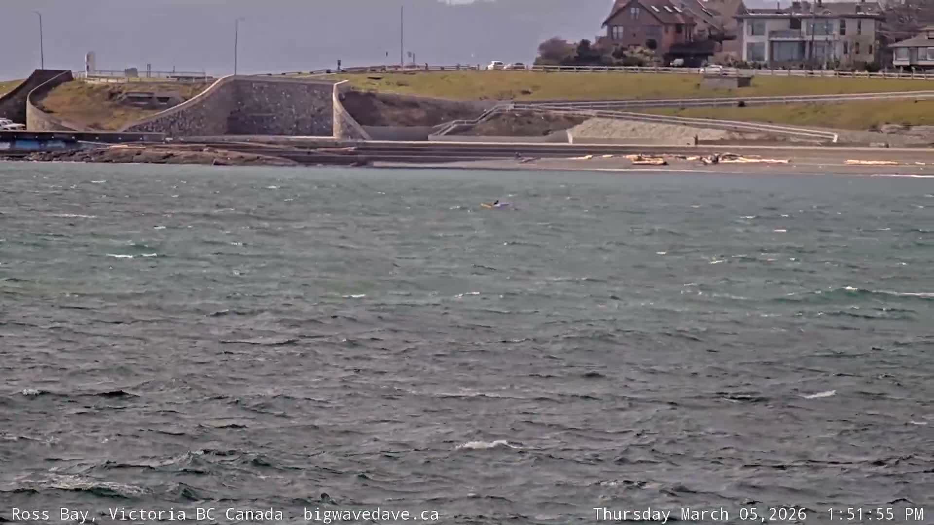 Fairfield District & Ross Bay Pasific & Trail Island Live Cam - Fairfield,  Victoria, Capital Regional District, British Columbia, Canada